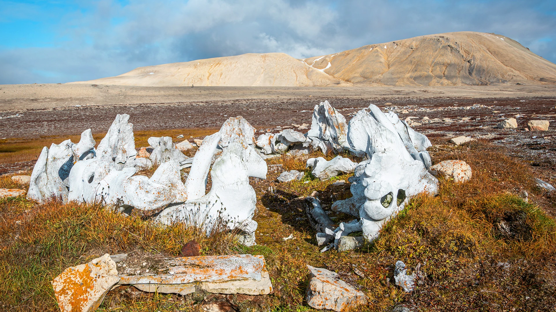 In the Heart of the Northwest Passage