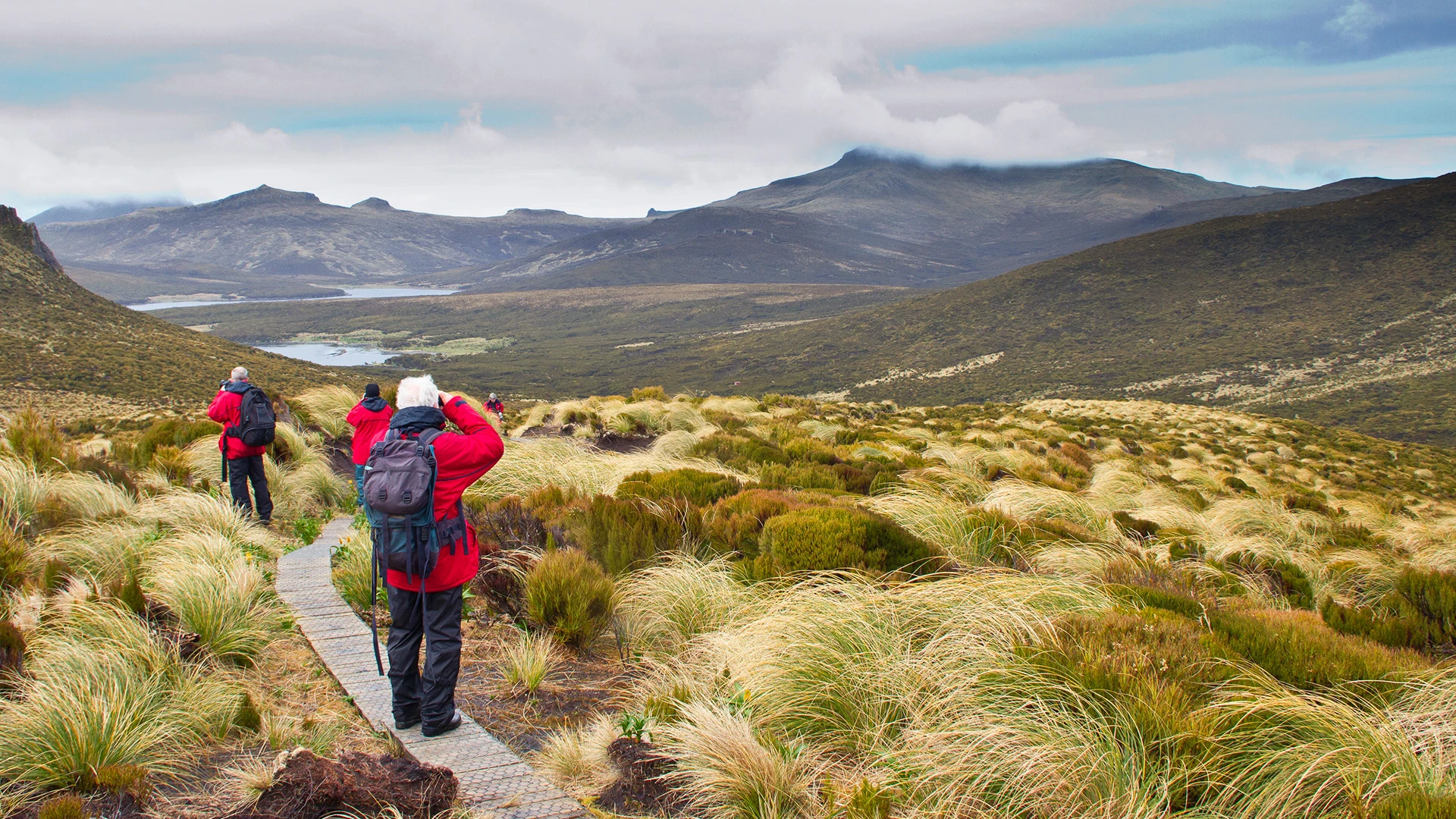 Campbell Island Subantarctic Islands