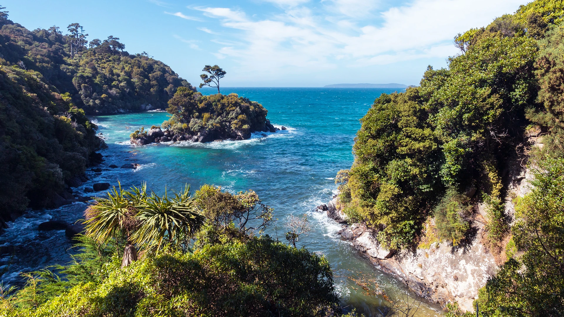 Coastline Stewart Island Subantarctic Islands