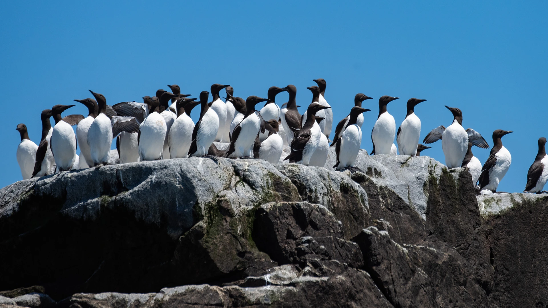 Luxury Svalbard Expedition Cruise from Tromso