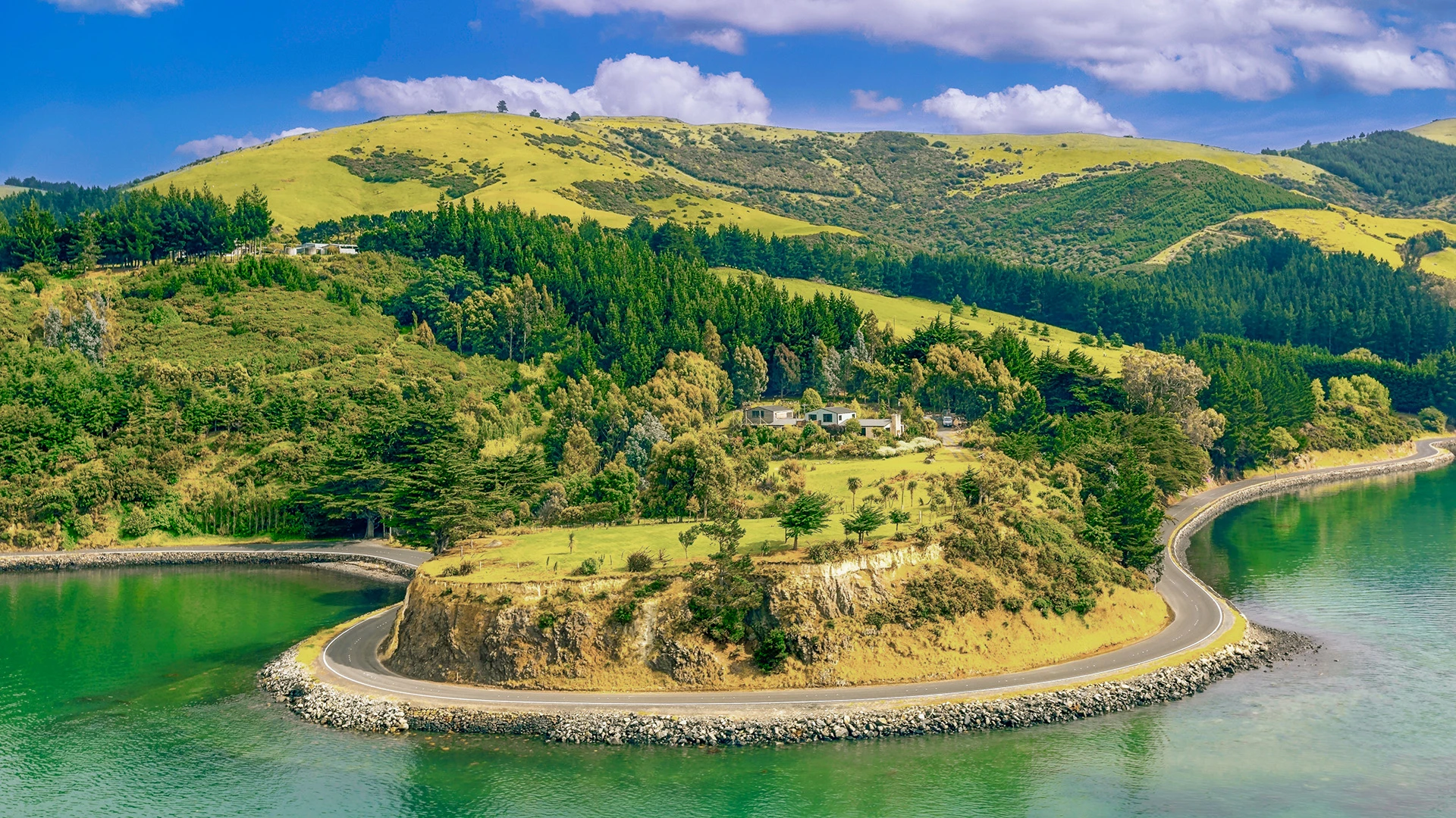 Dunedin Bay New Zealand