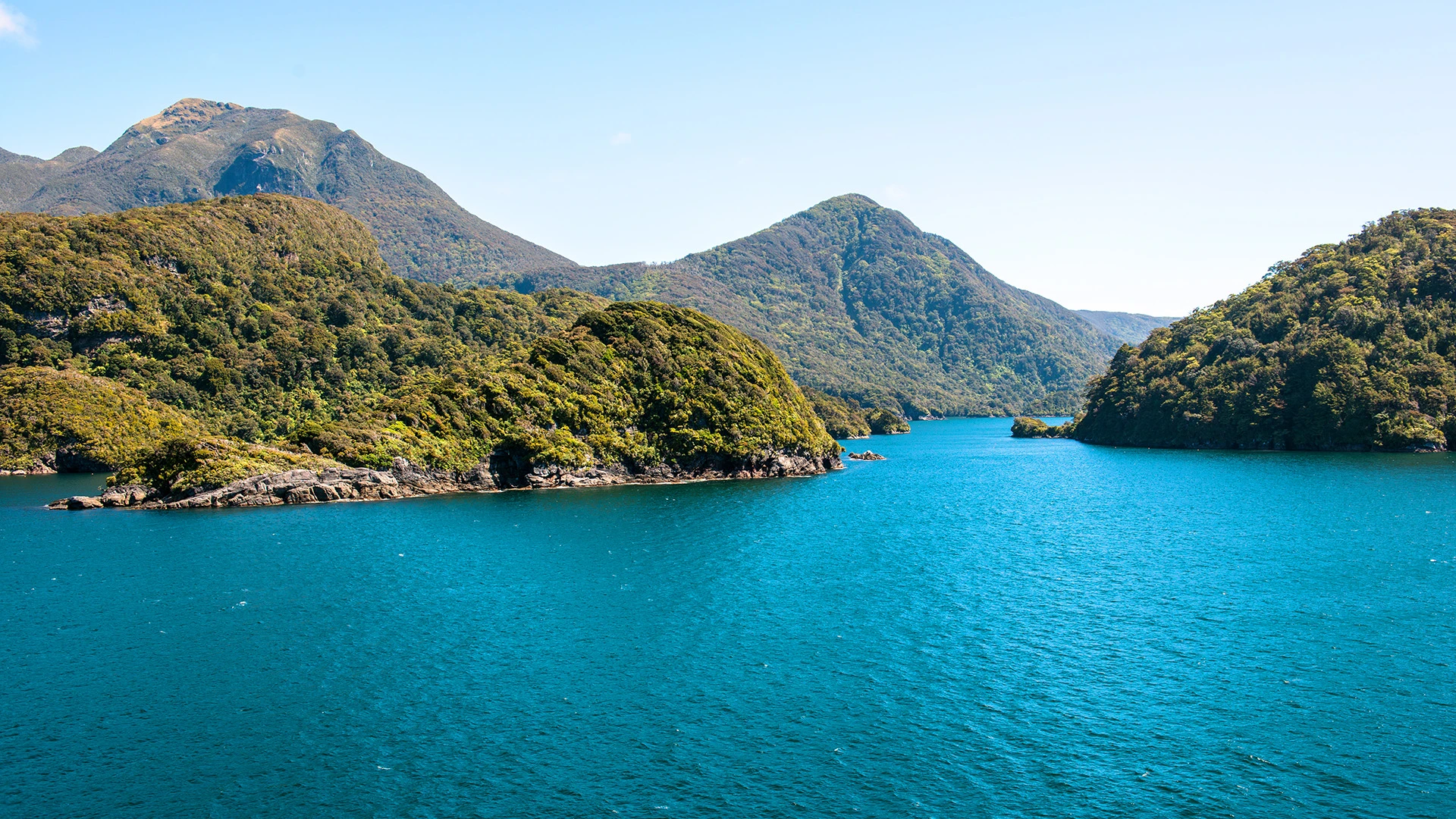 Dusky Sound Fiordland Subantarctic Islands