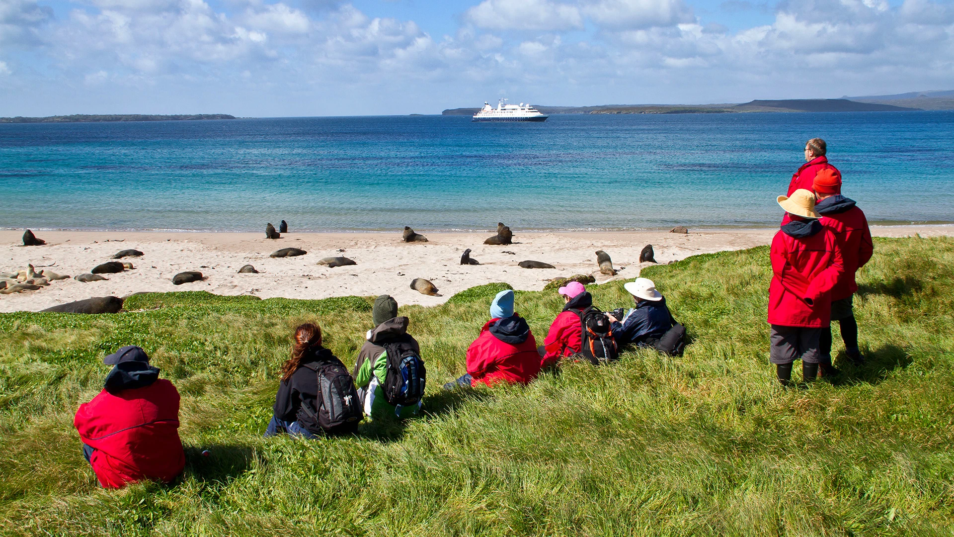 Enderby Island Subantarctic Islands