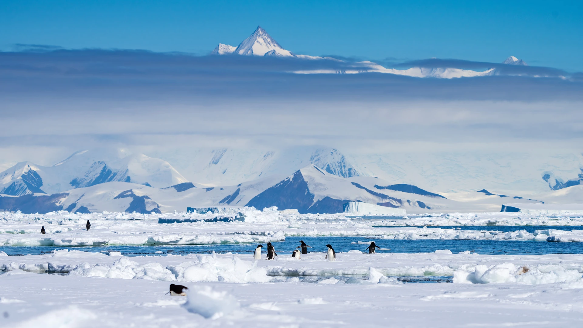 Ice Landscapes Icebergs Ross Sea Antarctic Peninsula