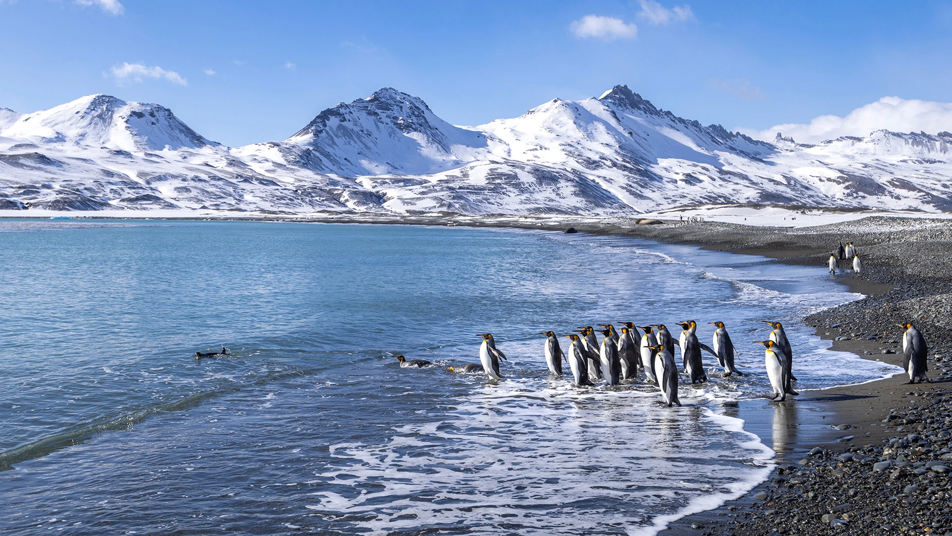 True Africa to Antarctica Expedition