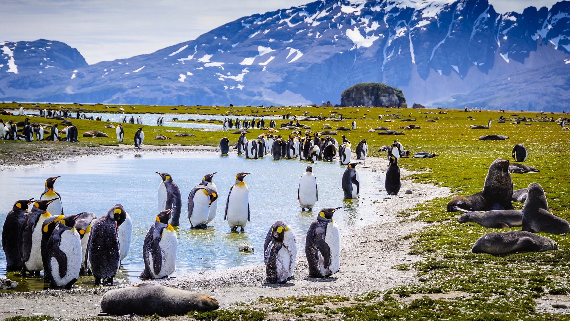 Luxury Africa to Antarctica Expedition