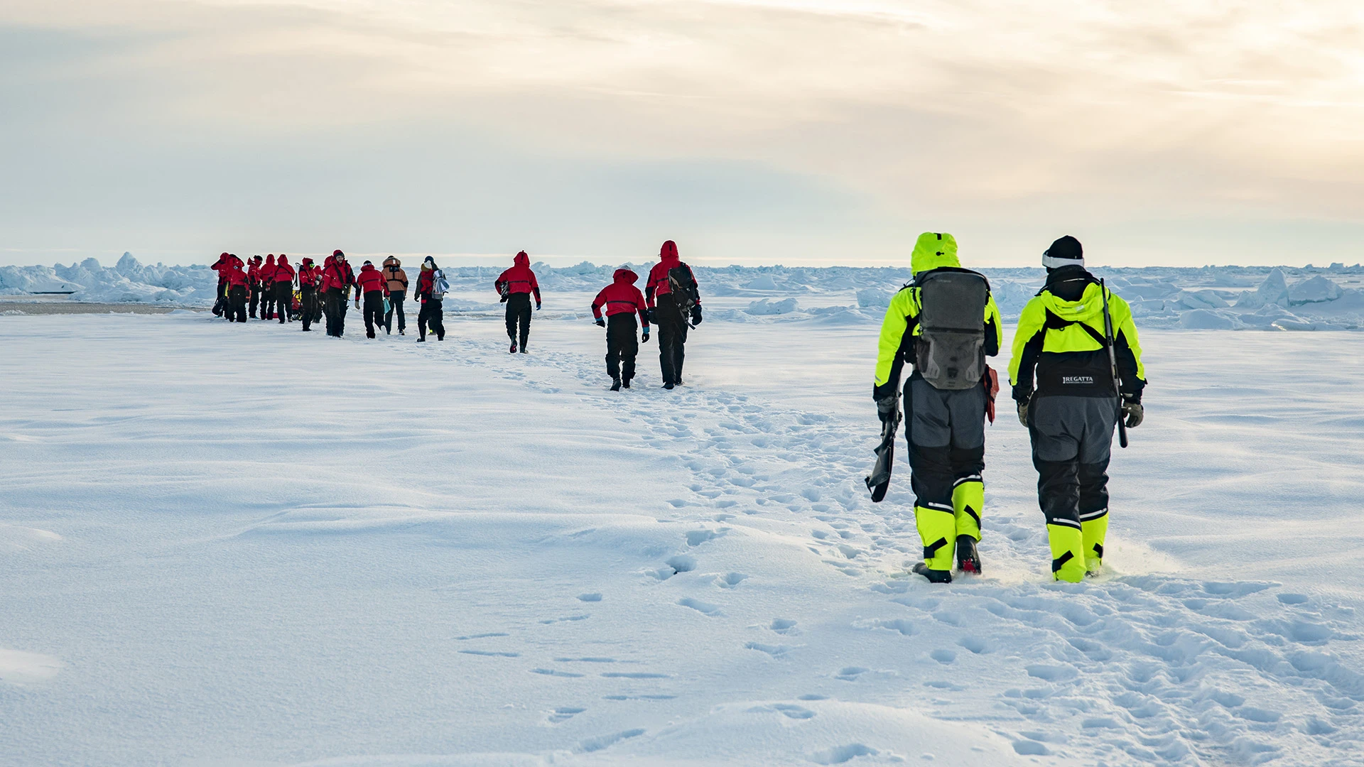 Naturalistes Immersion Ponant North Pole