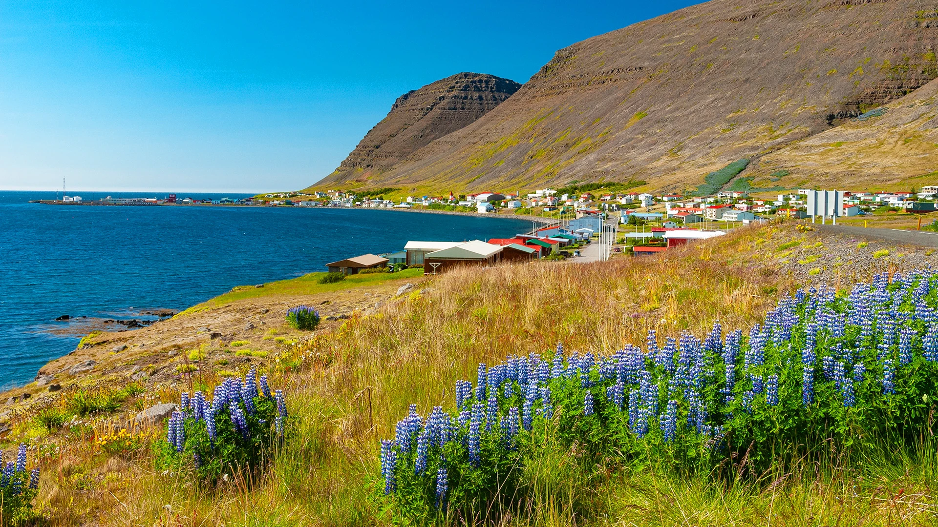 Patreksfjörður Westfjords Iceland