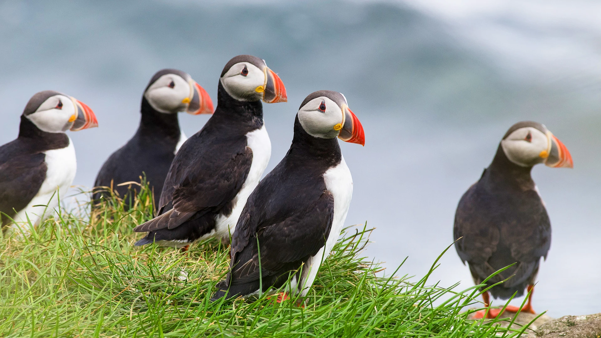 Luxury Iceland & Greenland Expedition Cruise