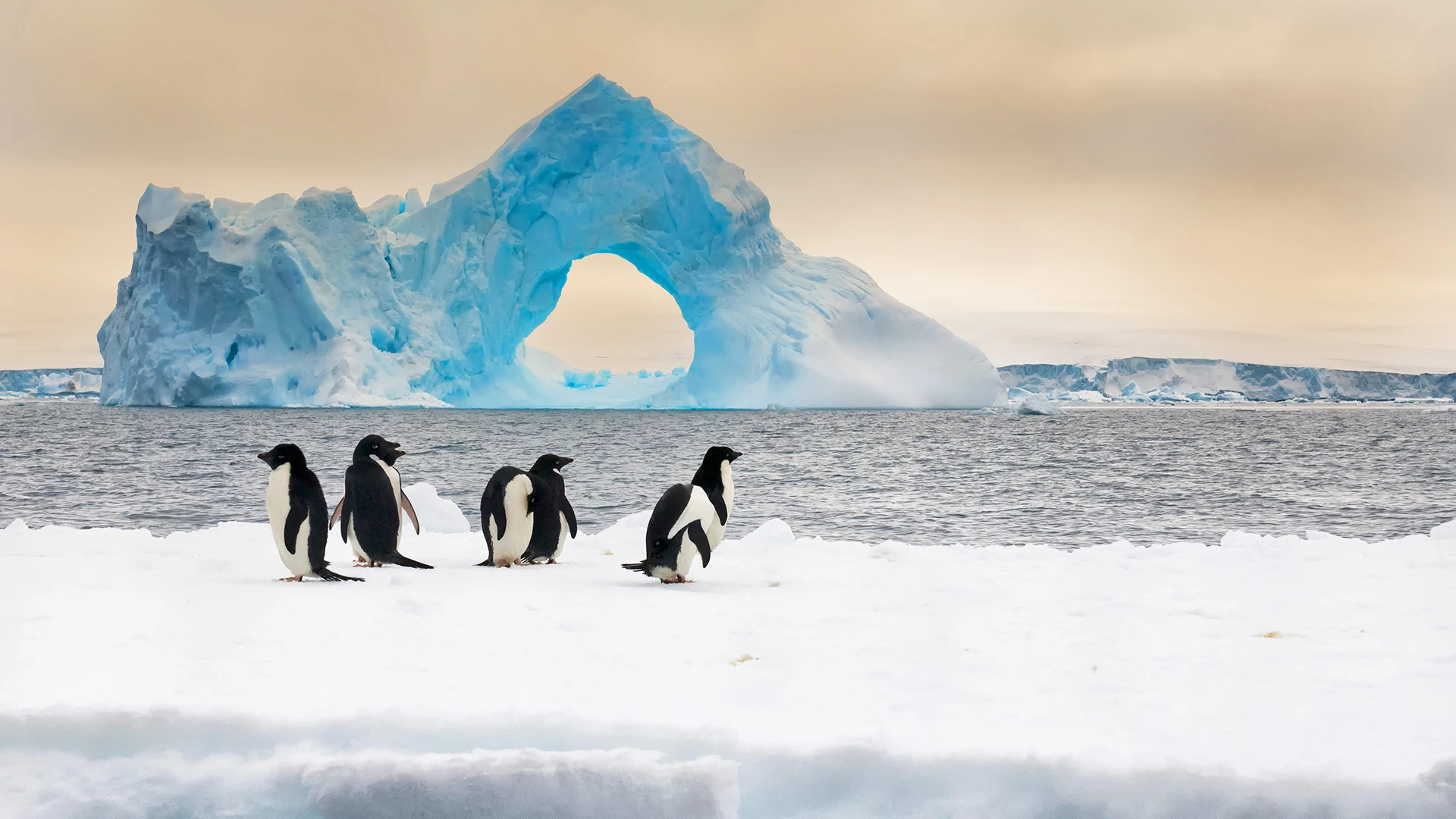 Classic Antarctic Peninsula Expedition