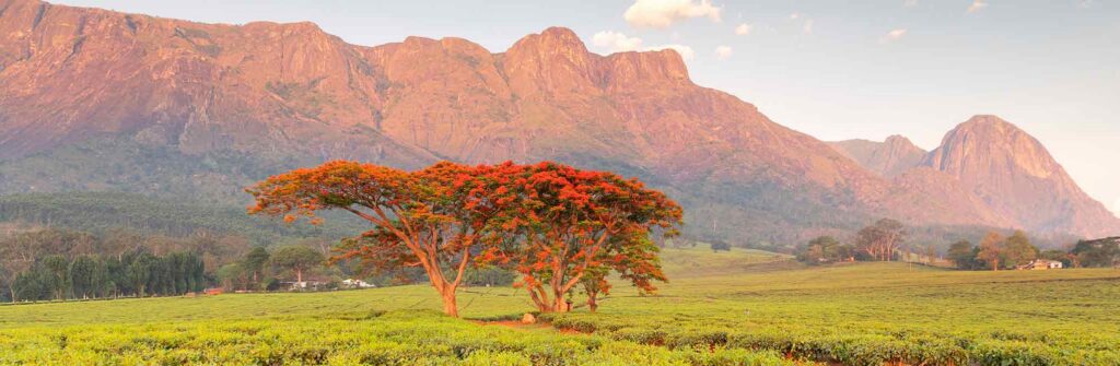 Top Places to Visit in Malawi