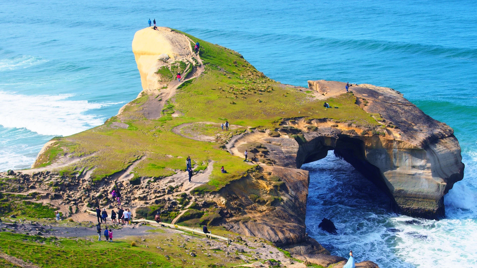 Taiaroa Head Dunedin New Zealand