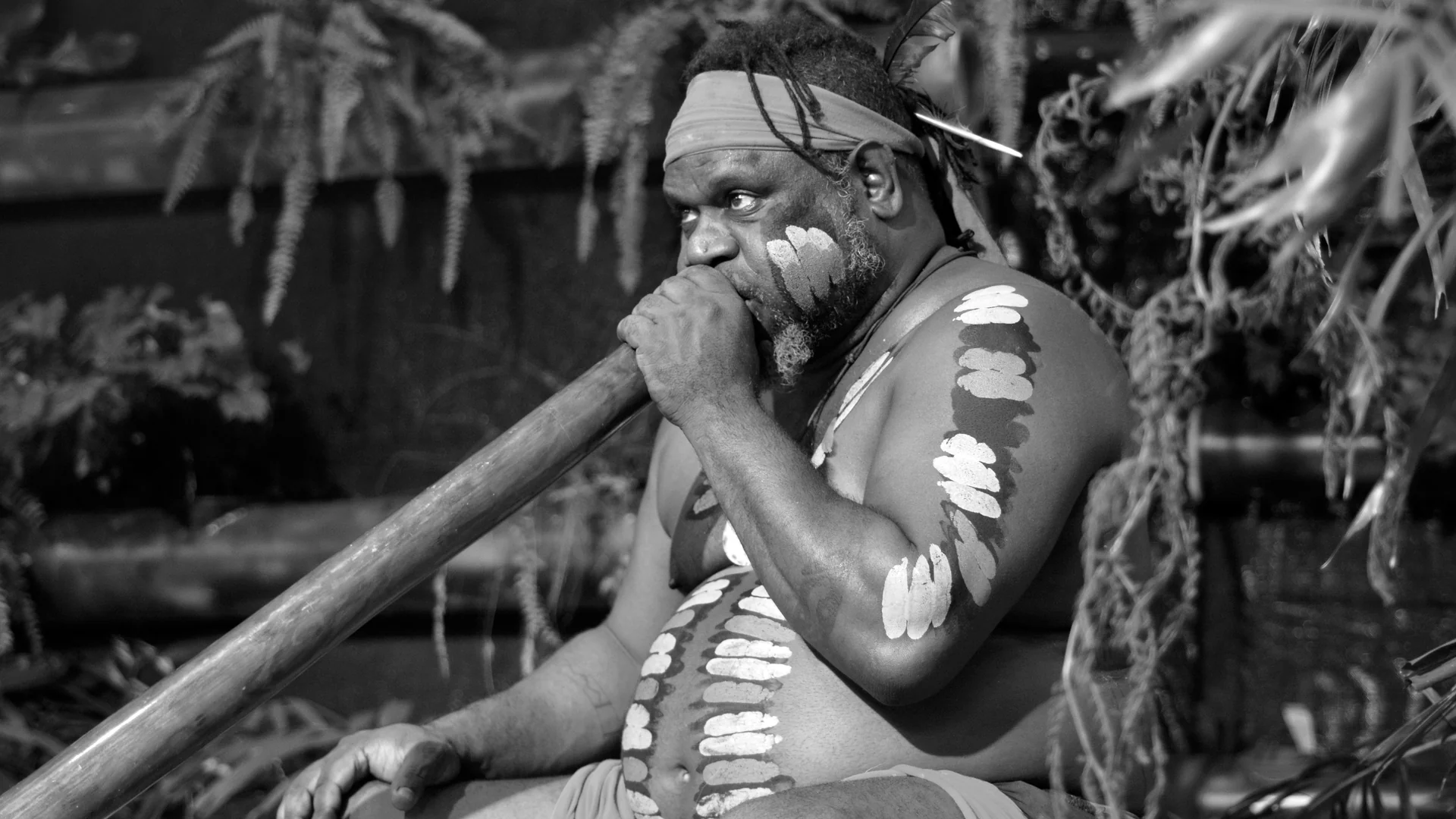 Didgeridoo
