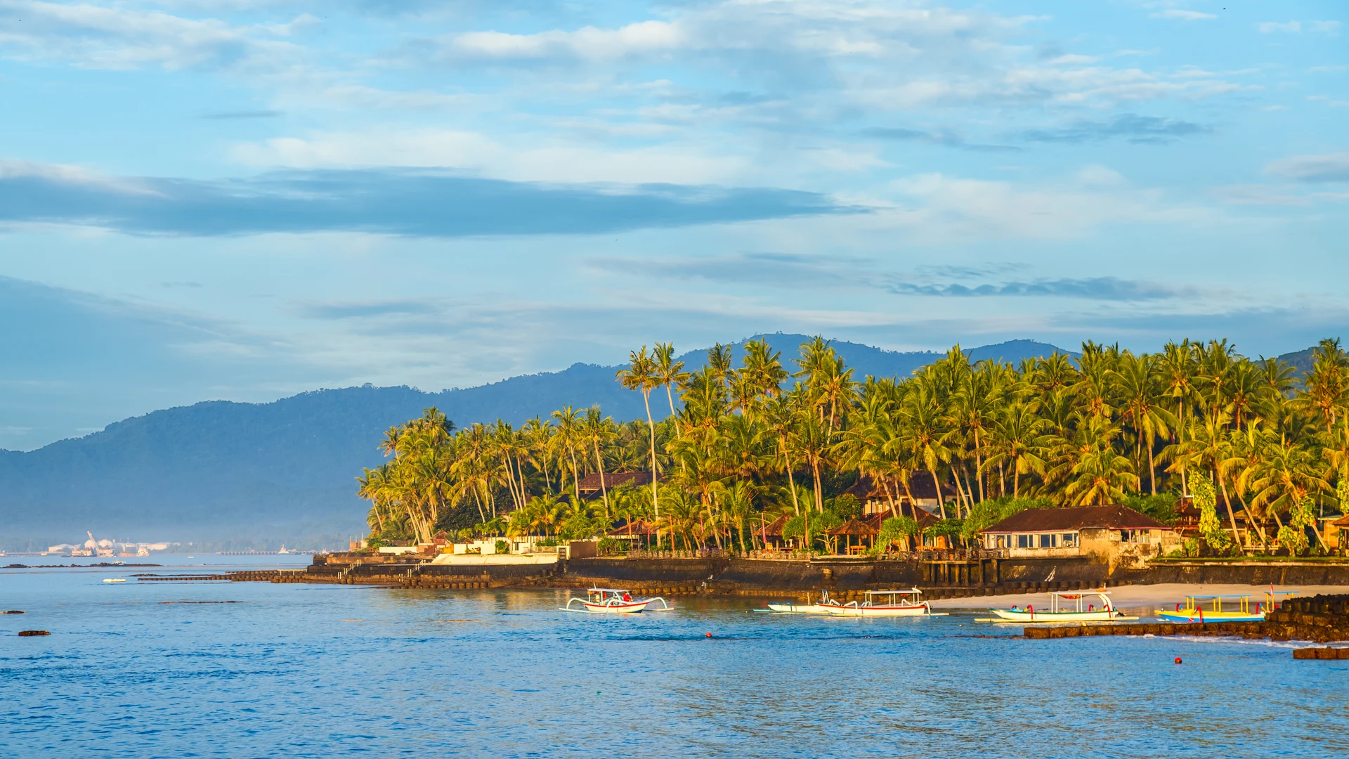 Palm-covered coastal point at Candi Dasa, East Bali