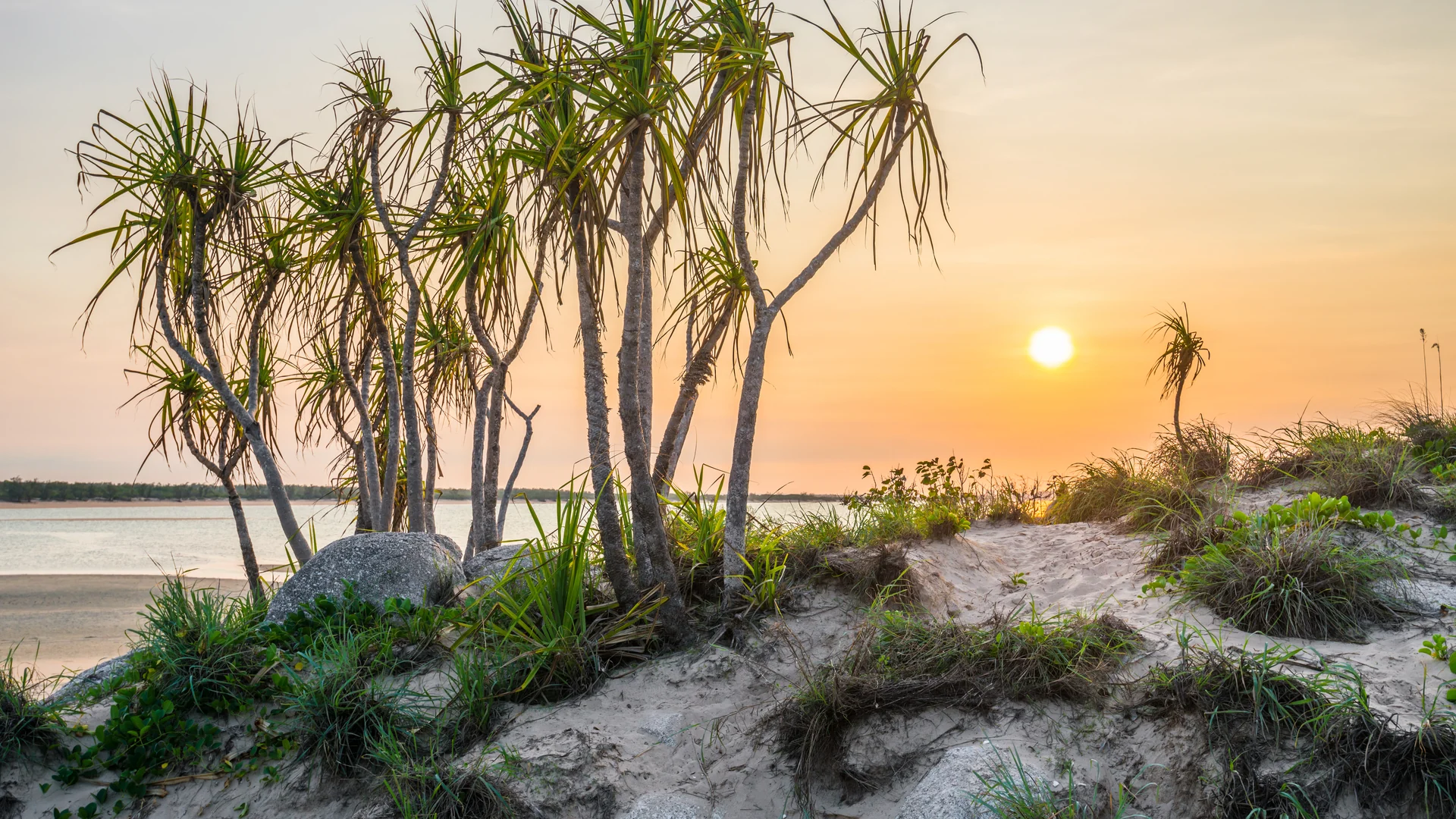 Pandanus dune at sunset on a remote NT coast