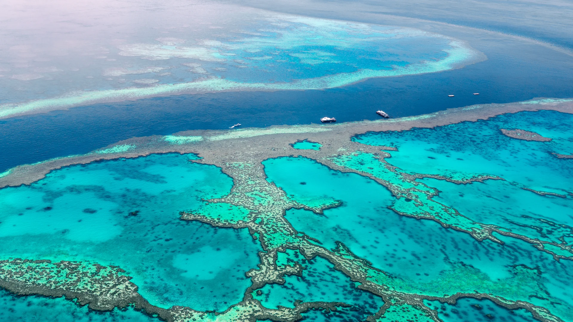 Aerial of Great Barrier Reef coral in turquoise water