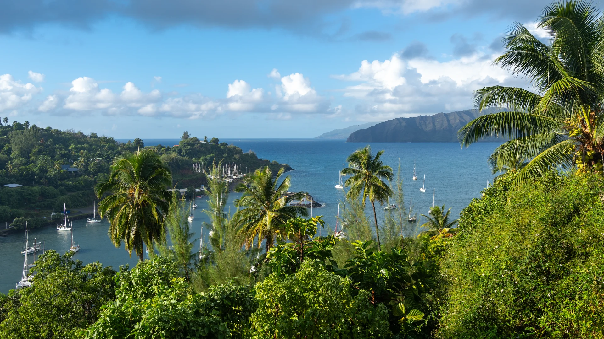 Atuona bay fringed with palms on Hiva Oa
