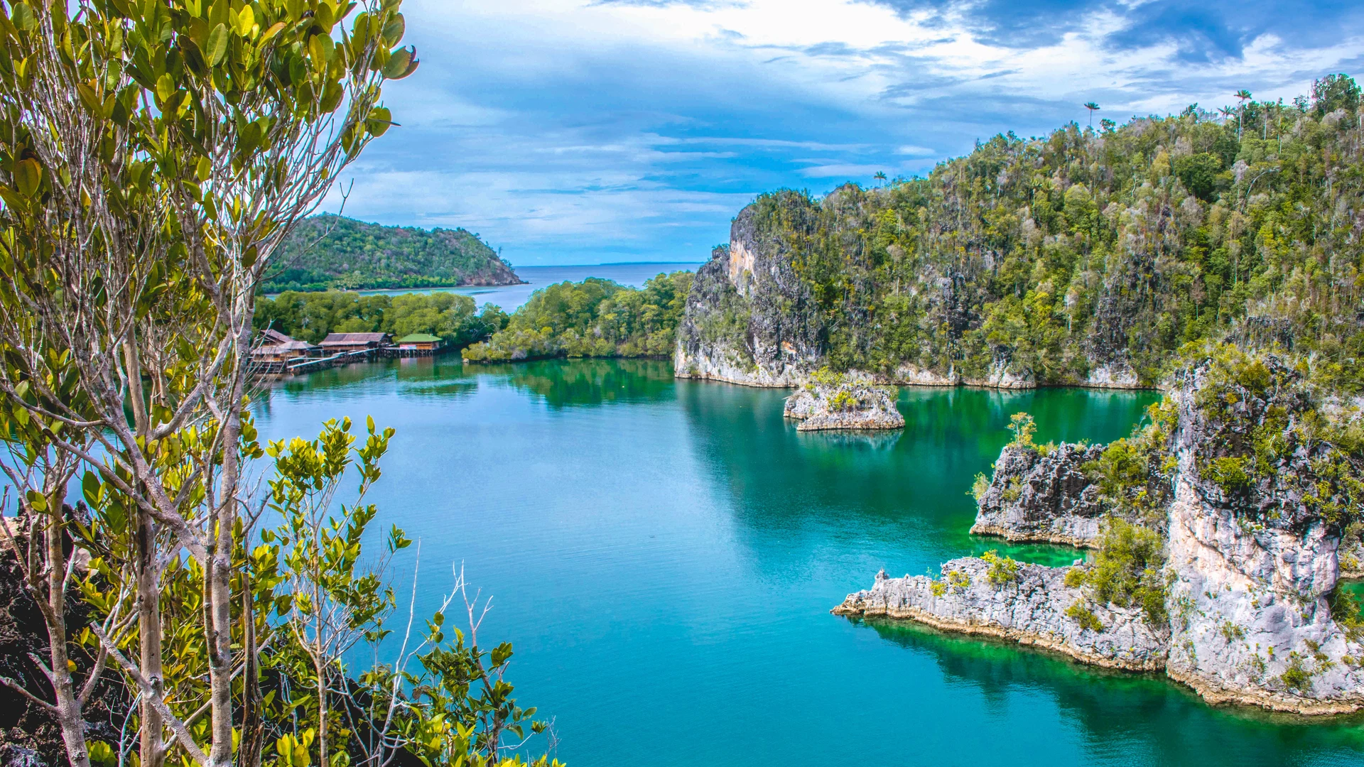 Limestone karst channel at Kabui Bay, Raja Ampat