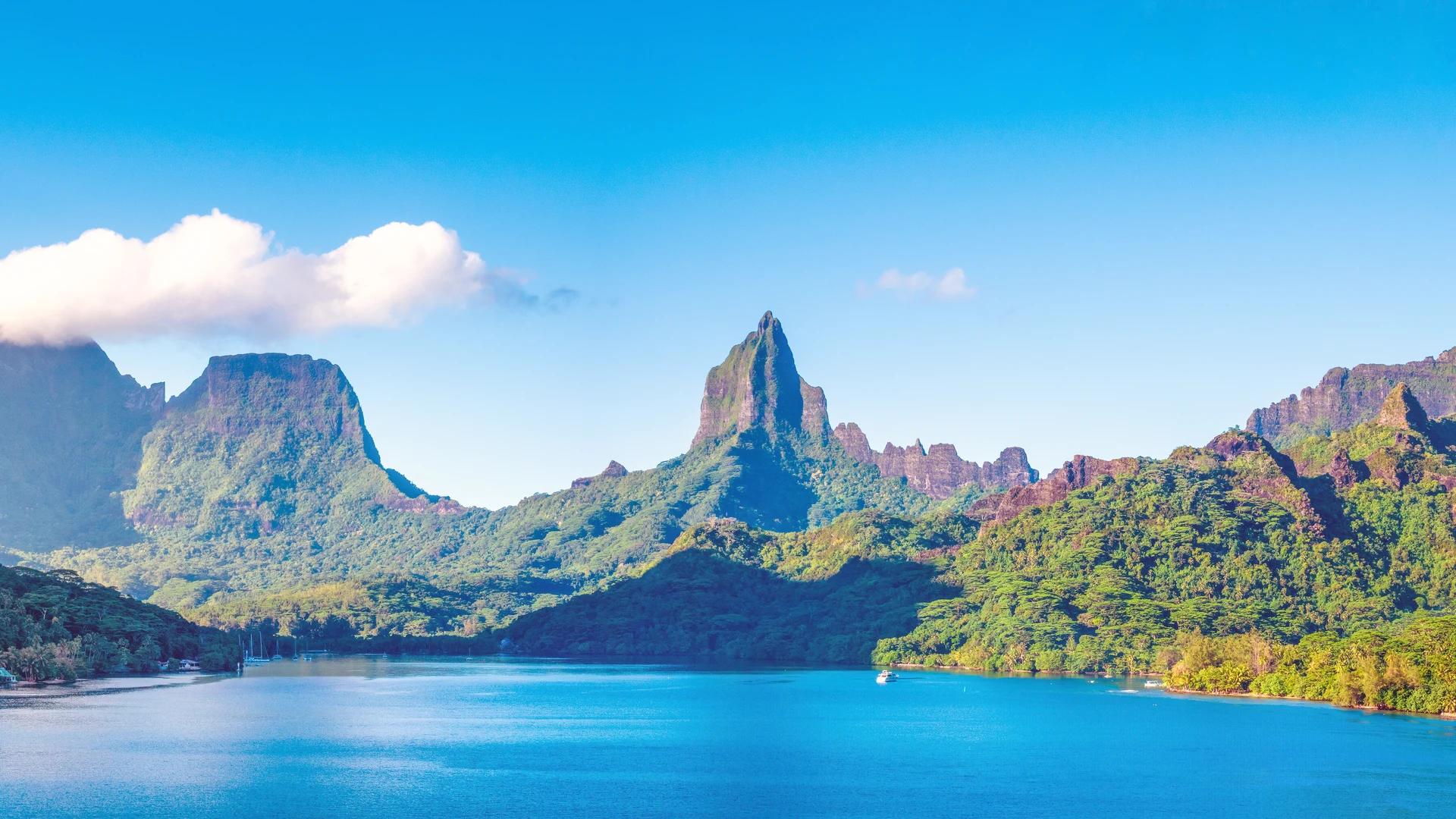 Opunohu Bay and the peaks of Moorea, French Polynesia