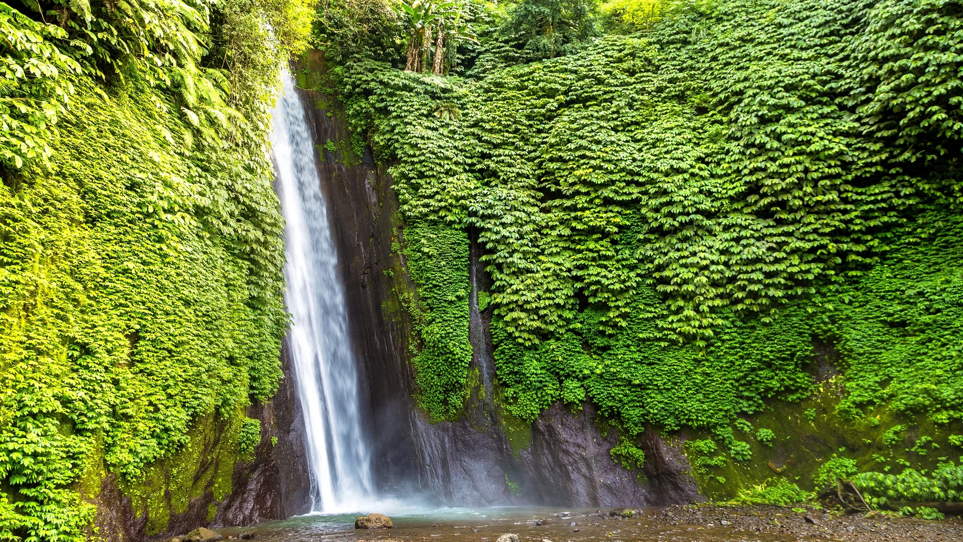 Jungle waterfall near Munduk, Bali