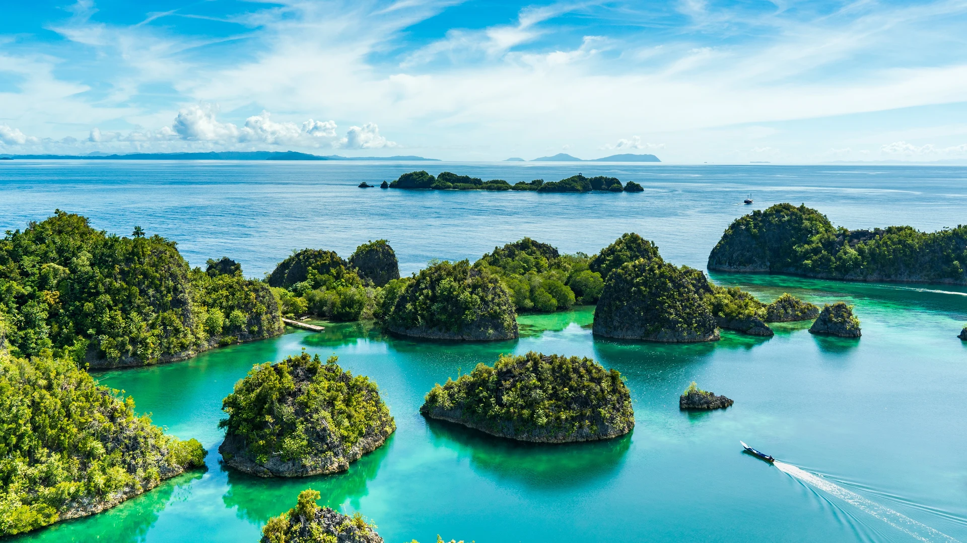 Raja Ampat & Cenderawasih Bay Expedition: Indonesia's Coral