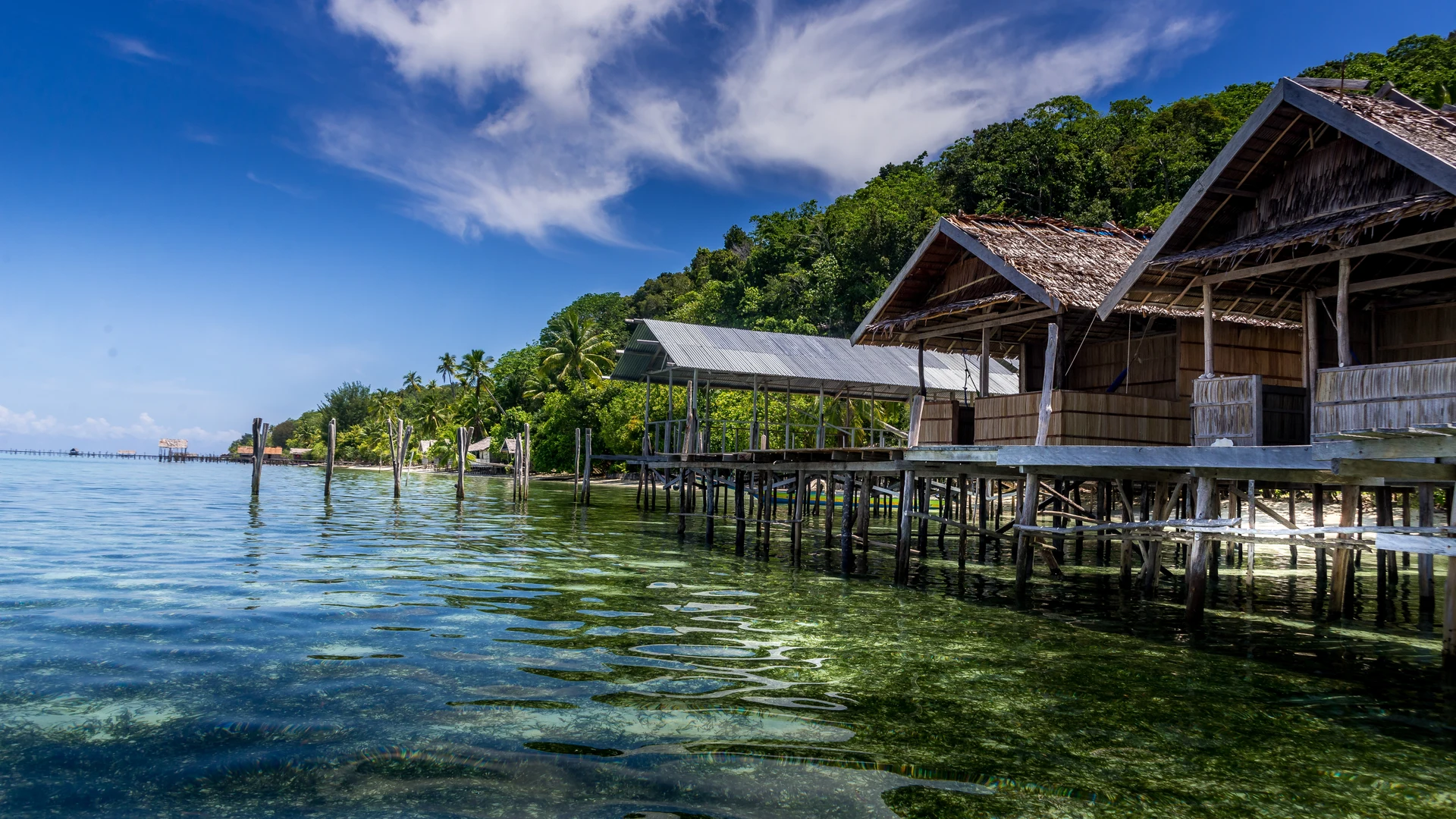 Stilt houses and jetty in a Raja Ampat village