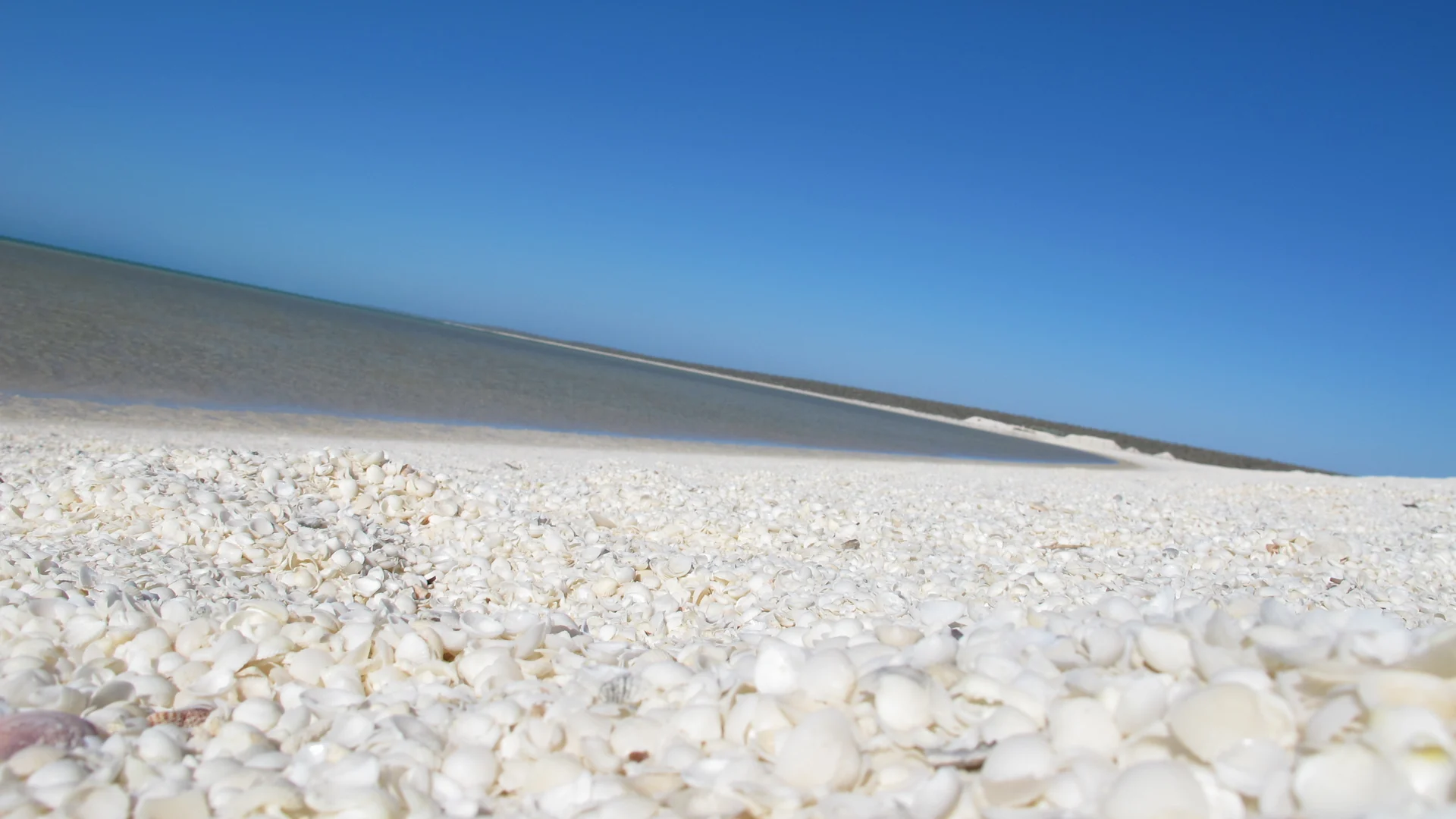White Shell Beach and turquoise water, Shark Bay