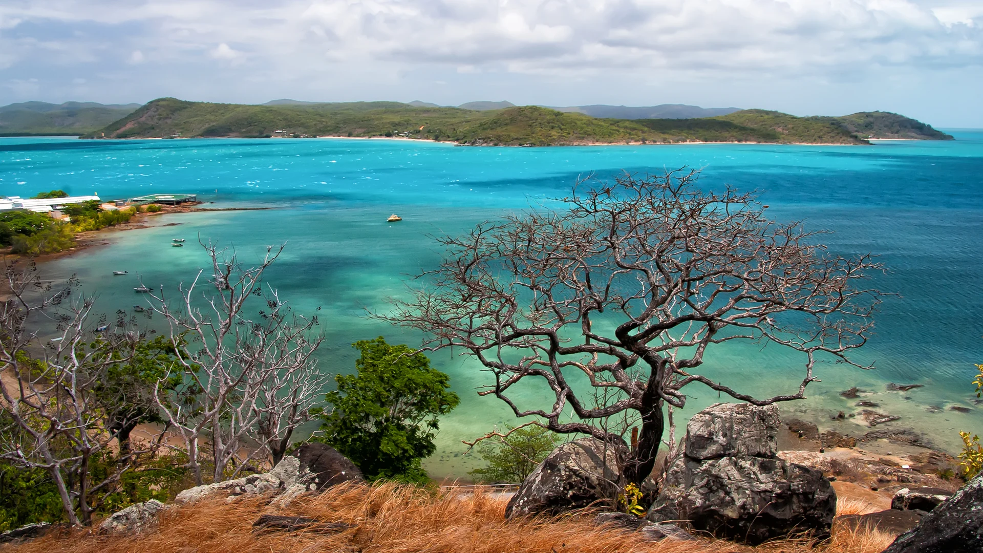 Torres Strait island with a lone tree over the lagoon