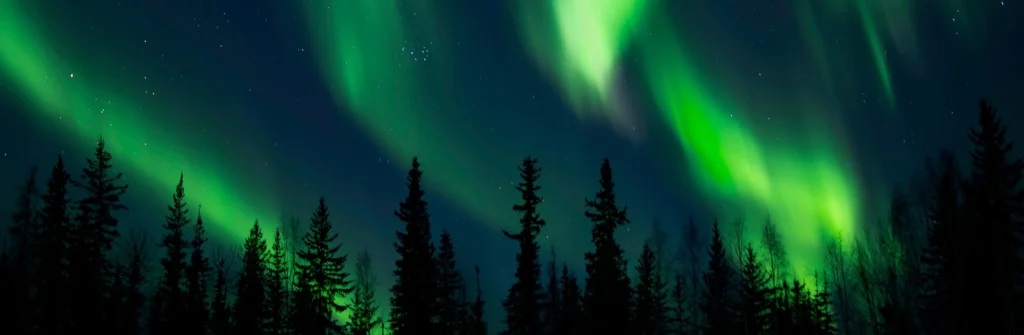 Chasing the Alaskan Borealis