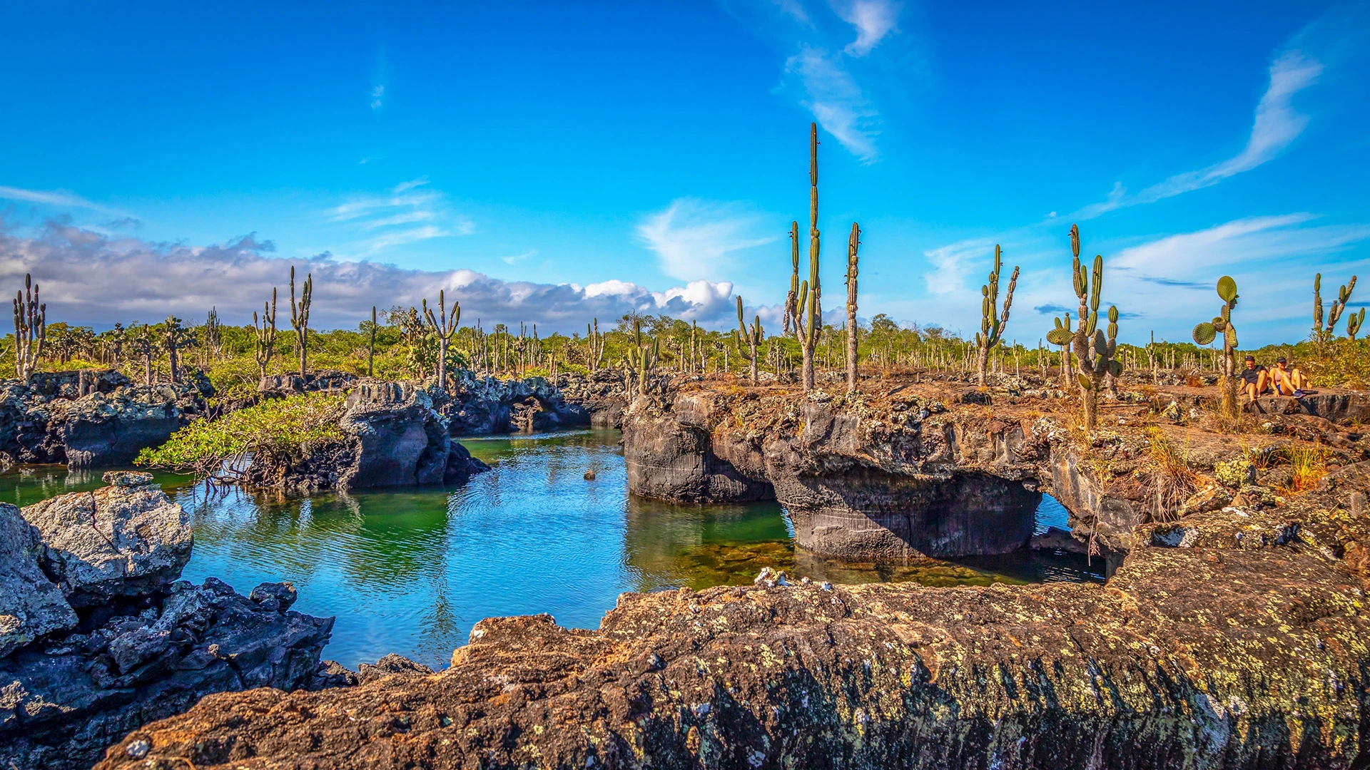 Amazing Landscape of Galapagos Islands