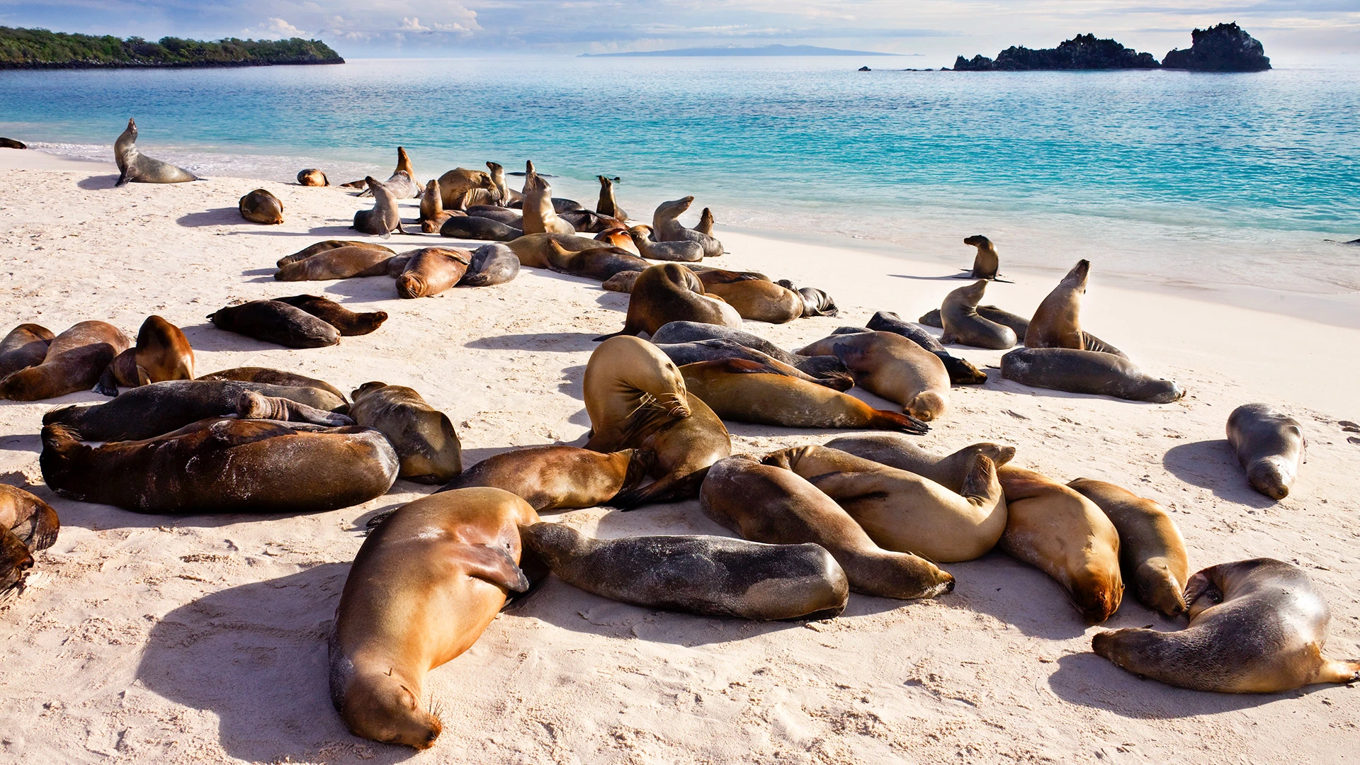 Eastern Galápagos: Mid-Size Classic Expedition Cruise