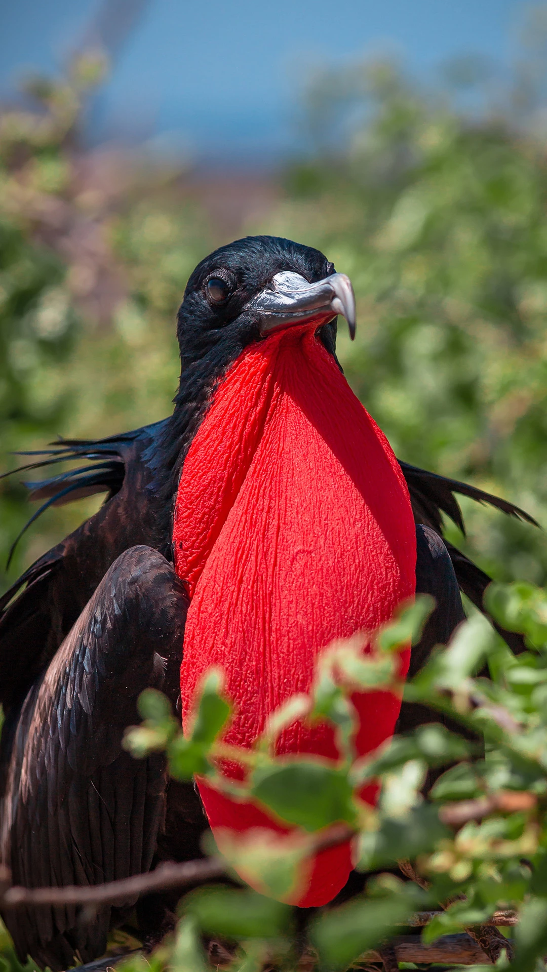 Itinerary image