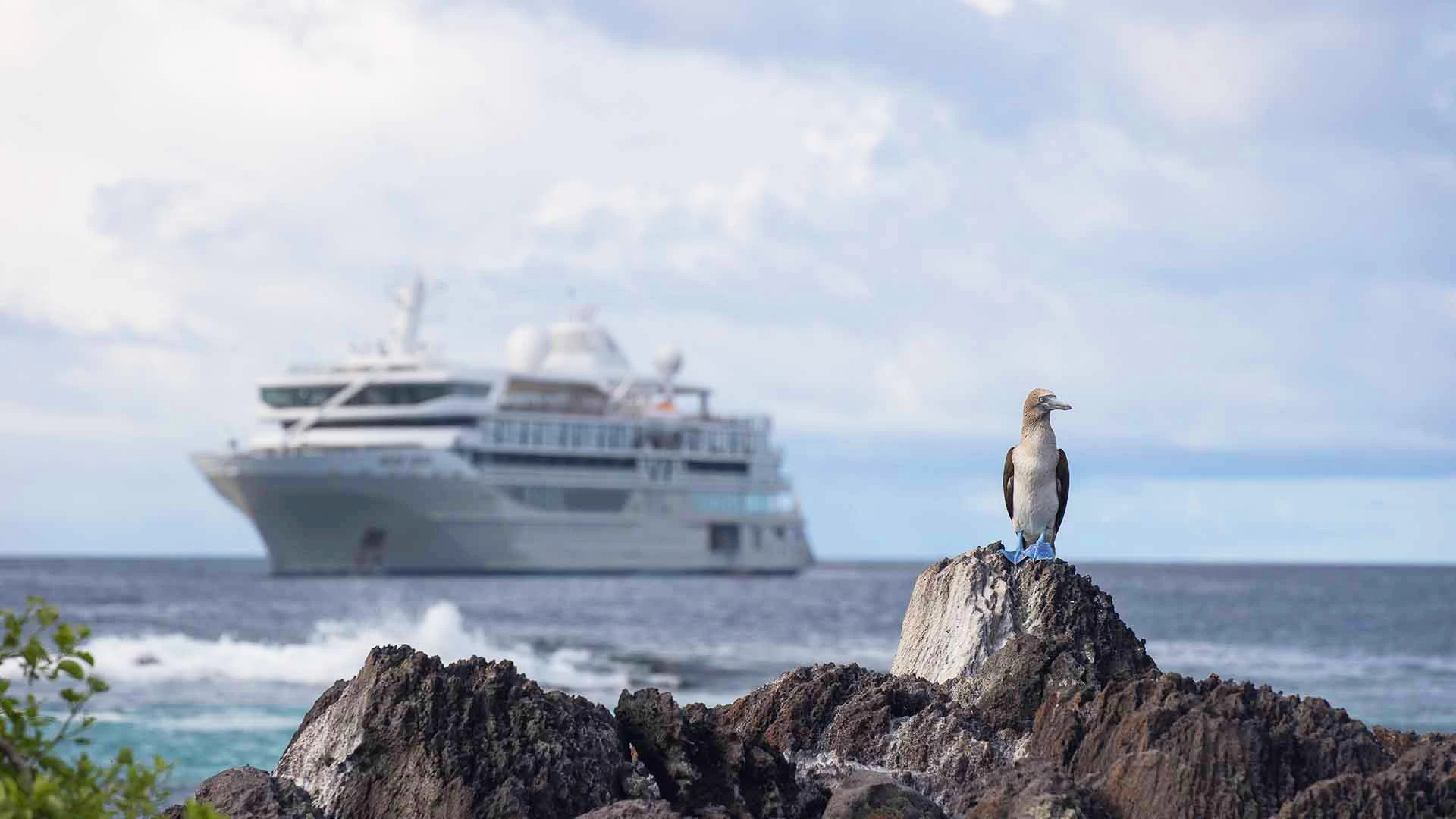 Silversea Silver Origin Ship 2