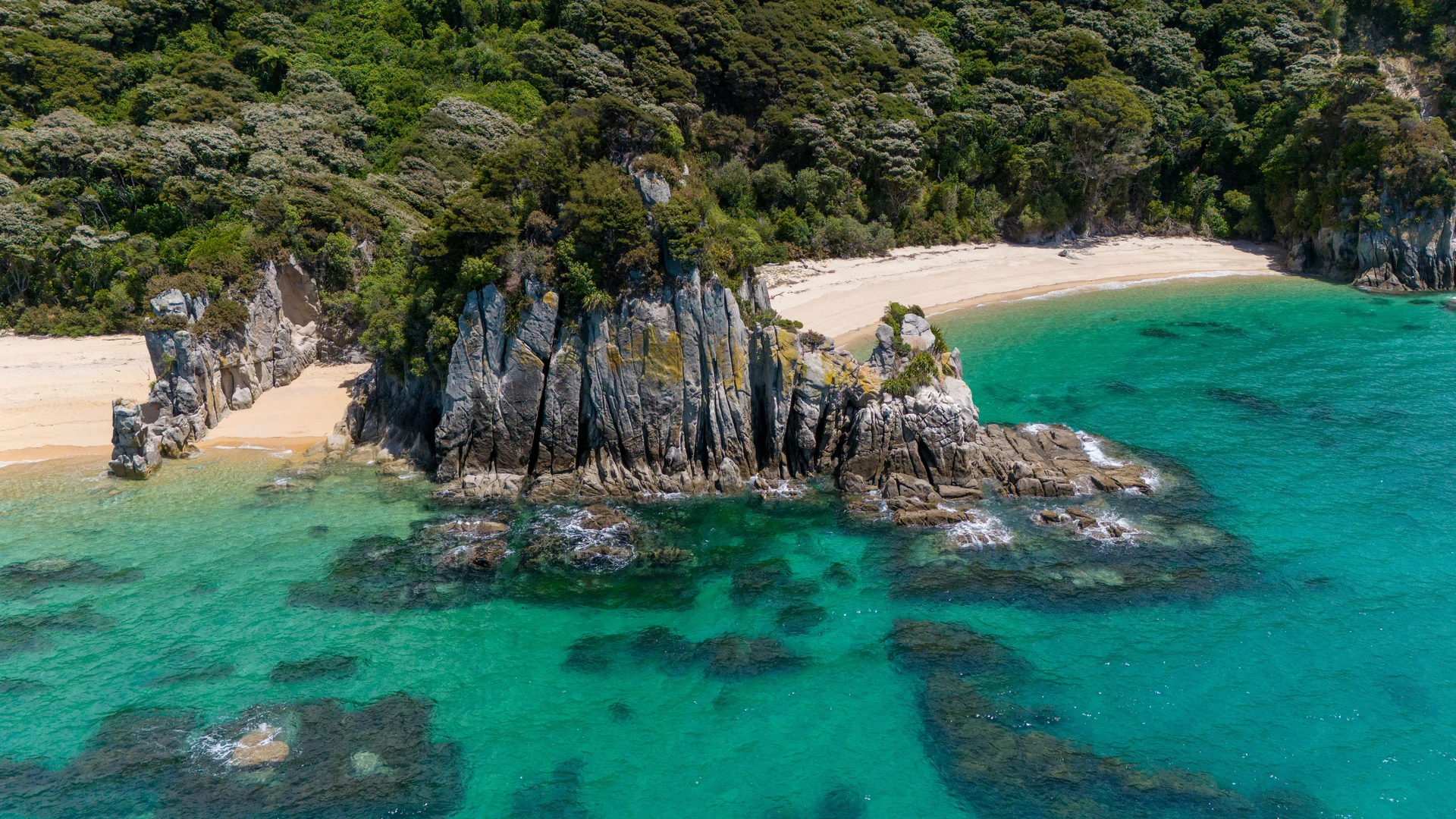 Secluded turquoise cove, Abel Tasman National Park