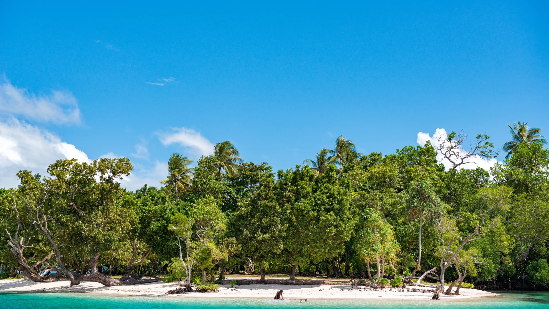 Palm beach and clear water, Duke of York Islands, PNG