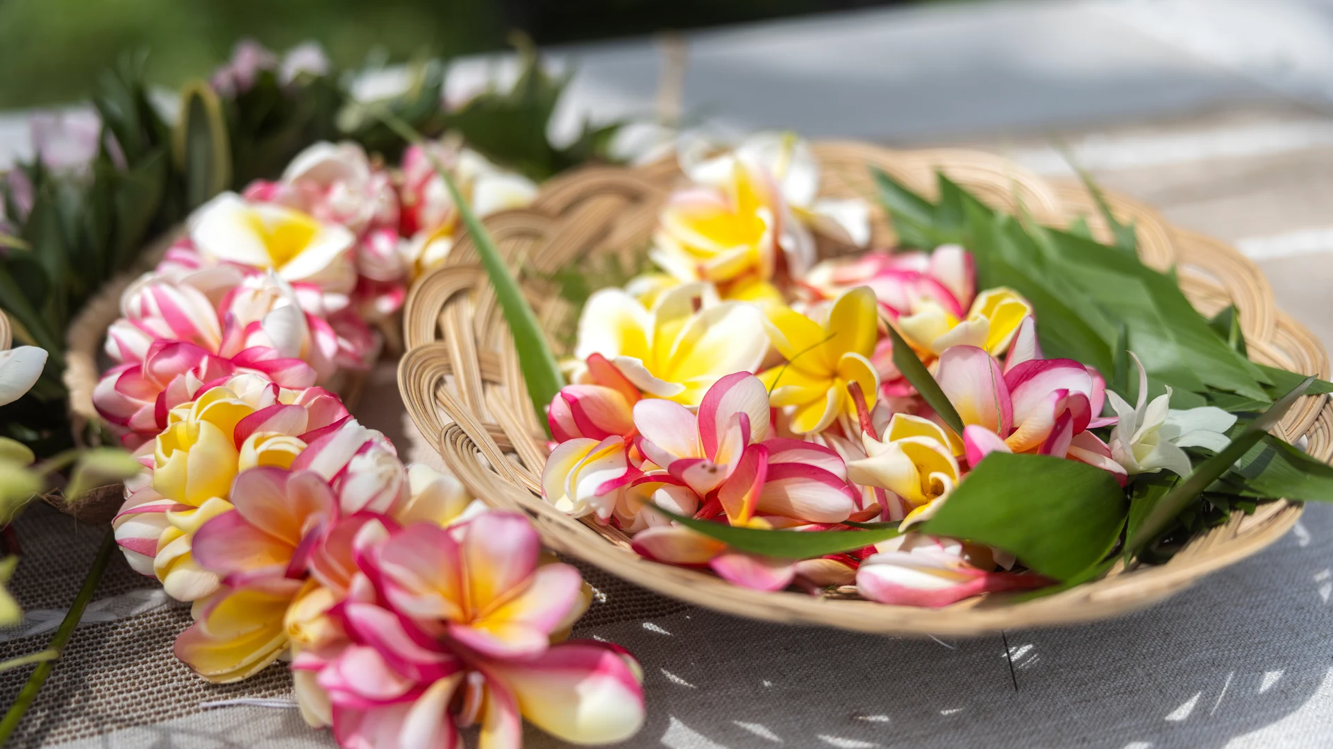 Hawaiian plumeria leis being made