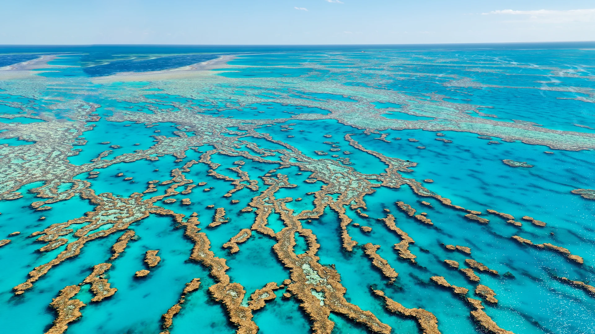 Aerial of coral formations in clear water