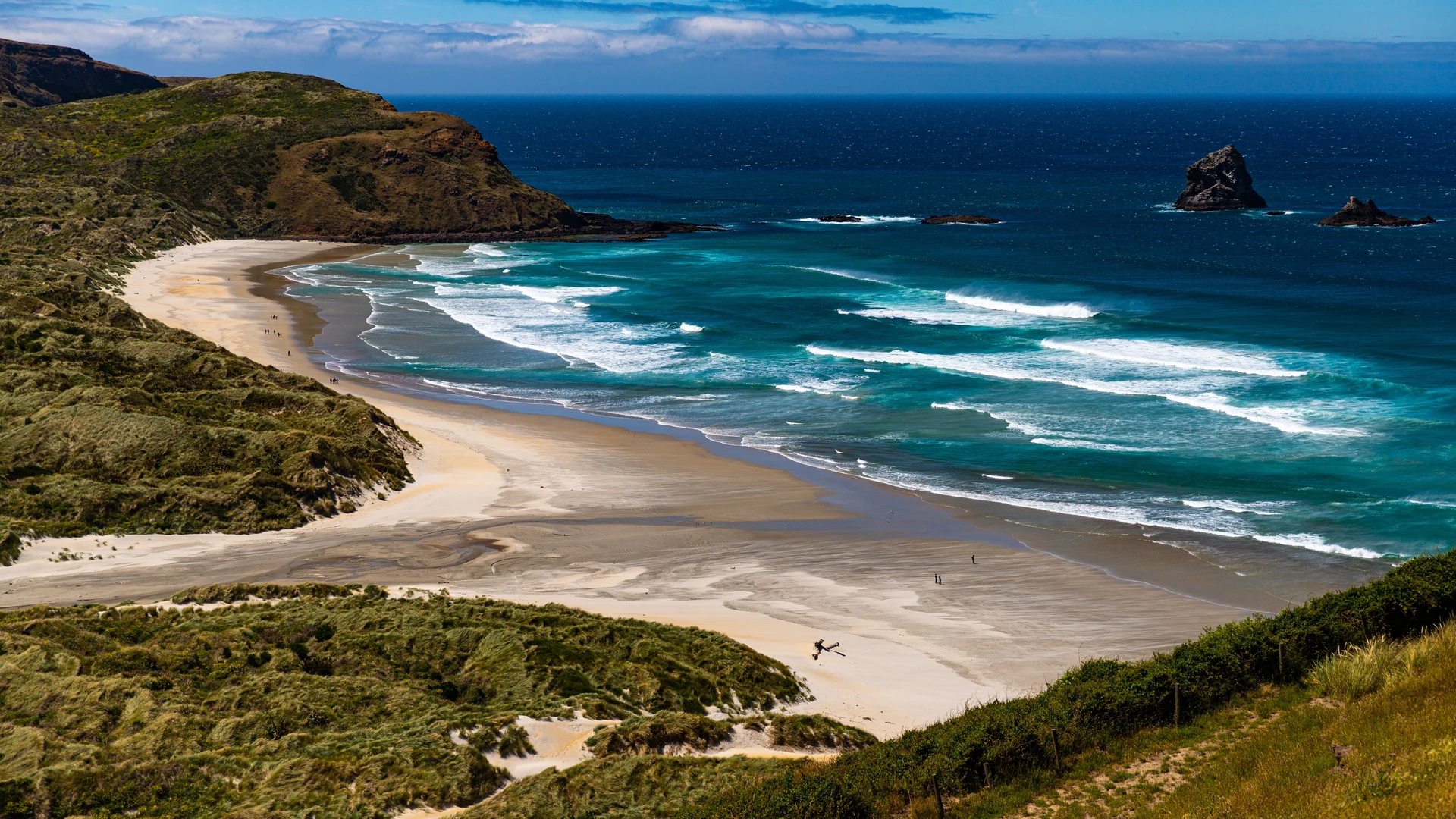 Sandfly Bay, Otago Peninsula, Dunedin
