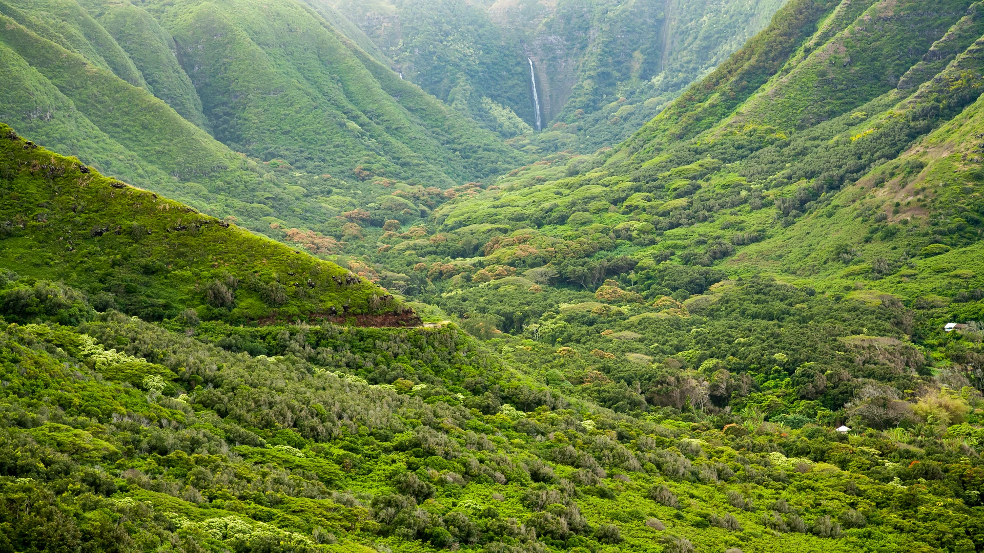 Waterfall in the lush Halawa Valley, Molokai