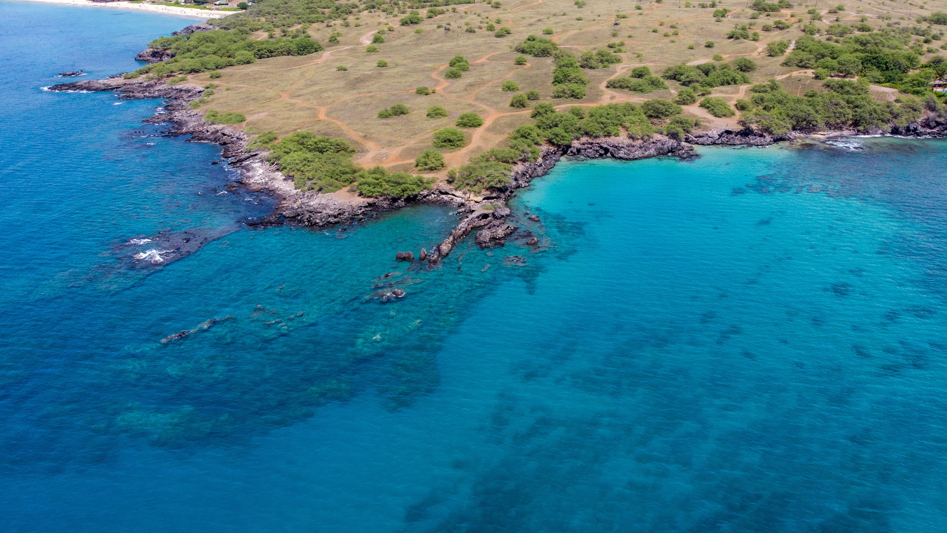 Turquoise coves of the Big Island coast