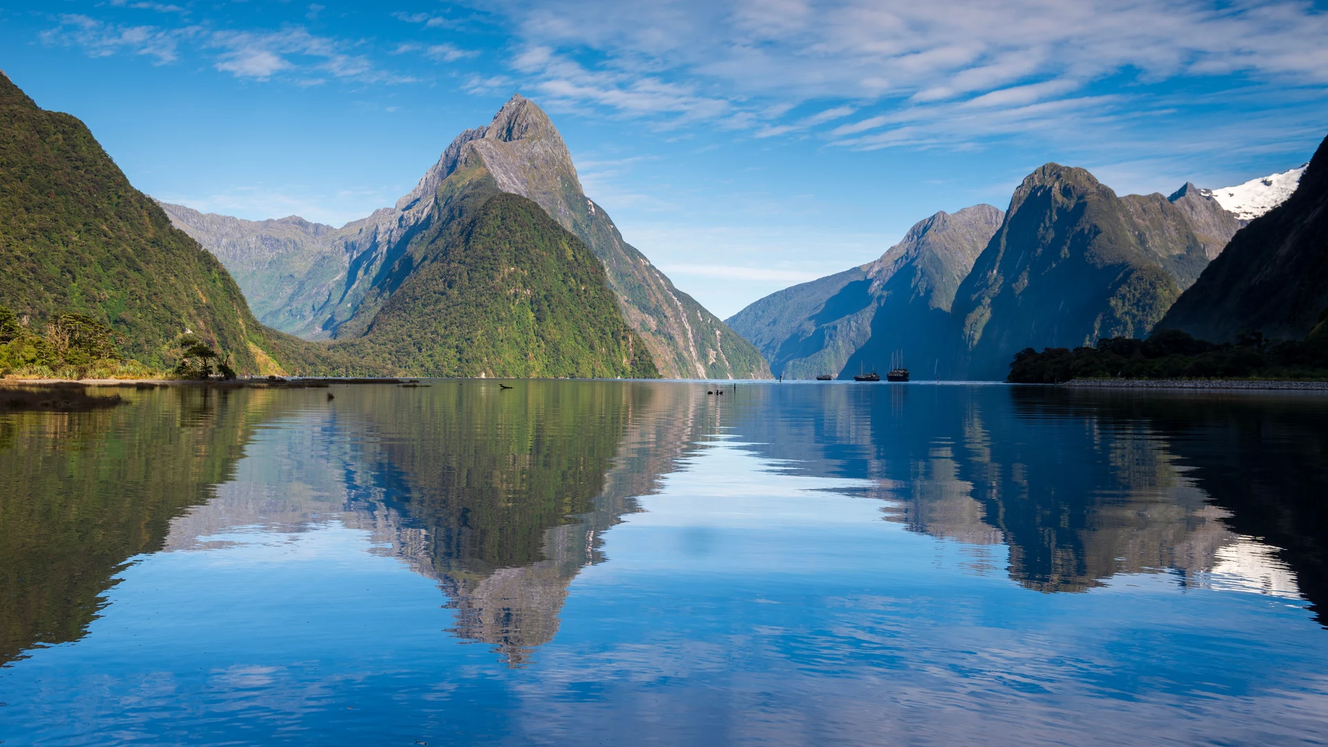 Milford Sound reflection, Fiordland
