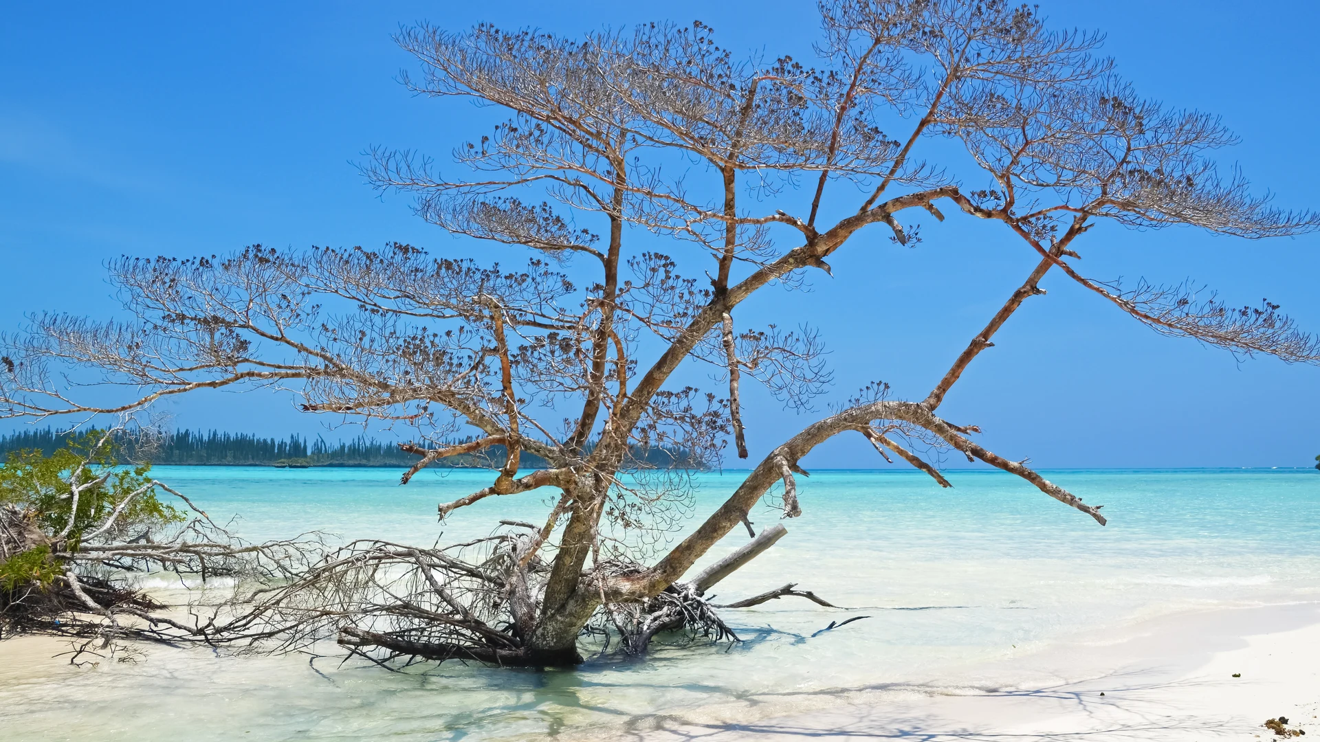 Natural pool at Oro Bay, Isle of Pines
