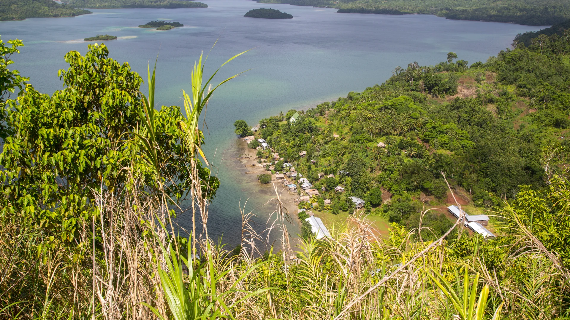 Rainforest island coast, Solomon Islands