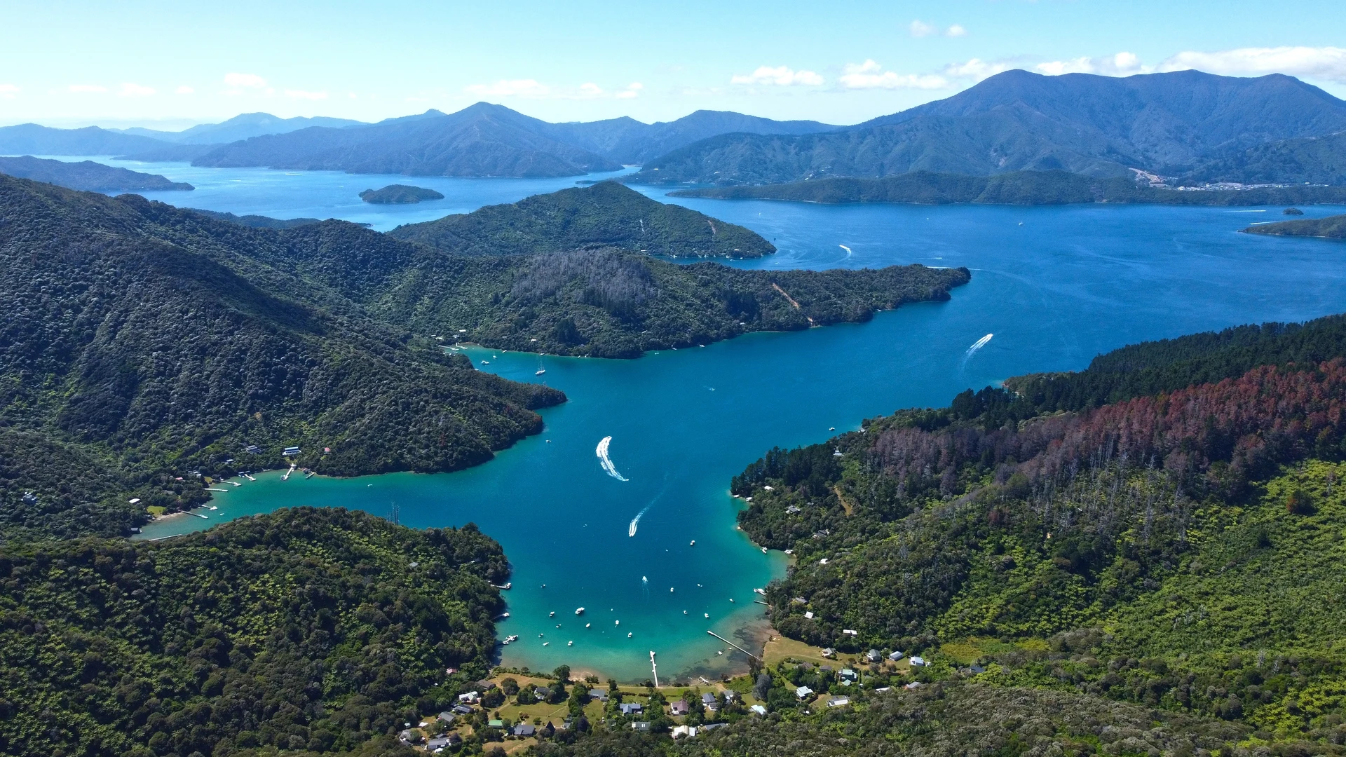 Queen Charlotte Sound, Marlborough Sounds
