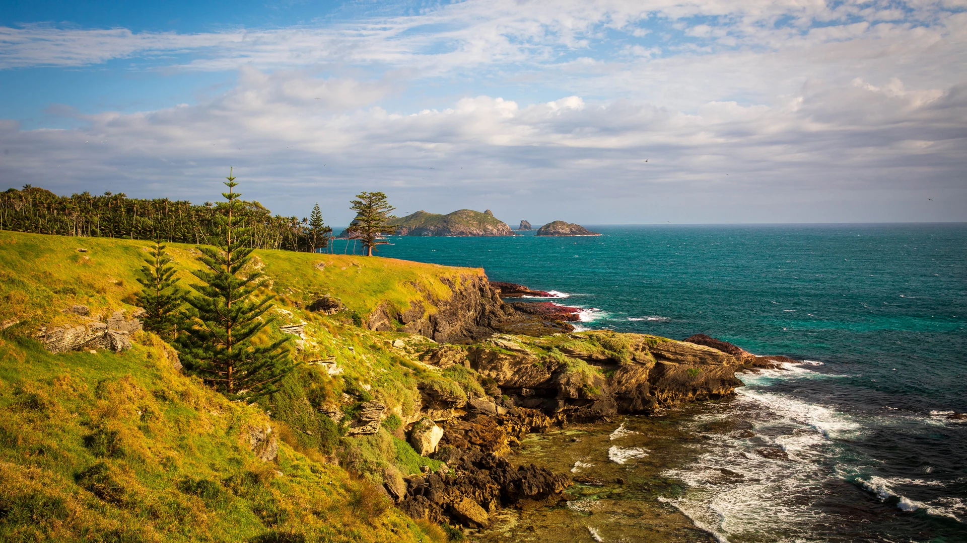 Norfolk Island coast with pines and breaking waves