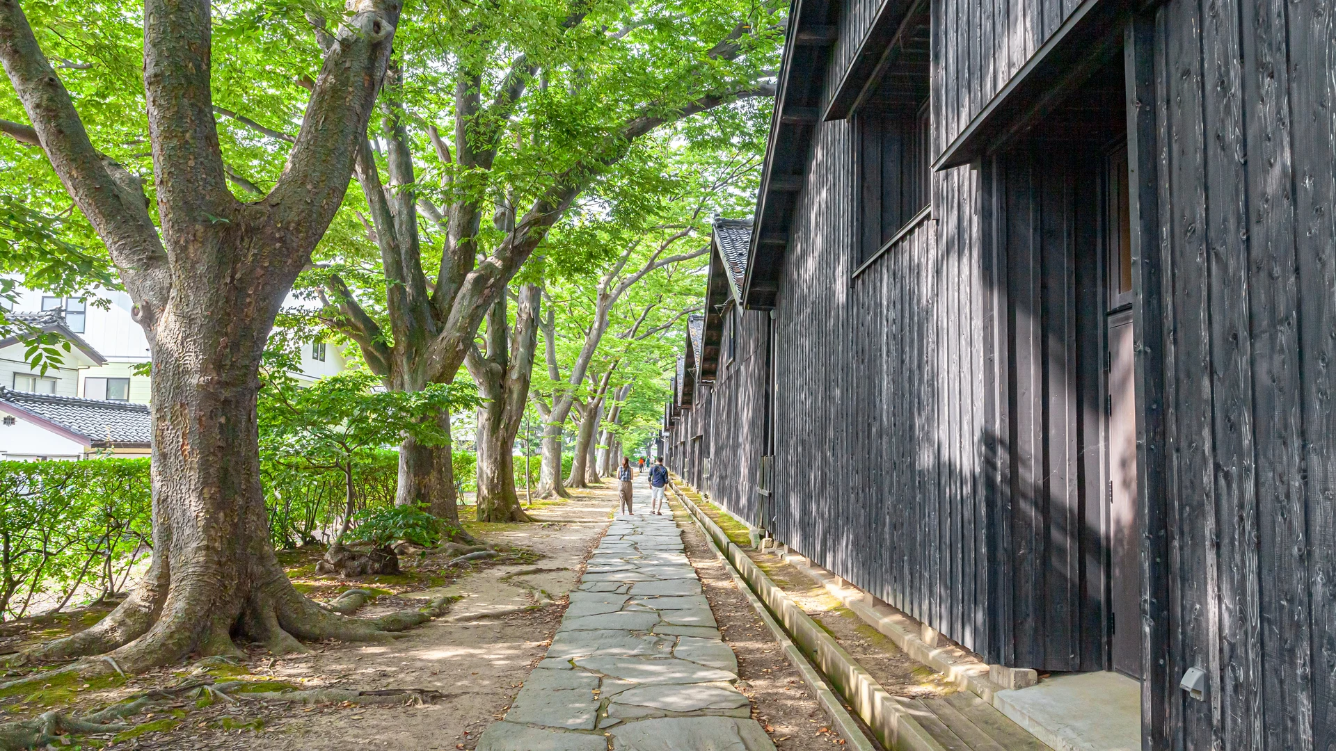 Sankyo warehouses and zelkova avenue, Sakata