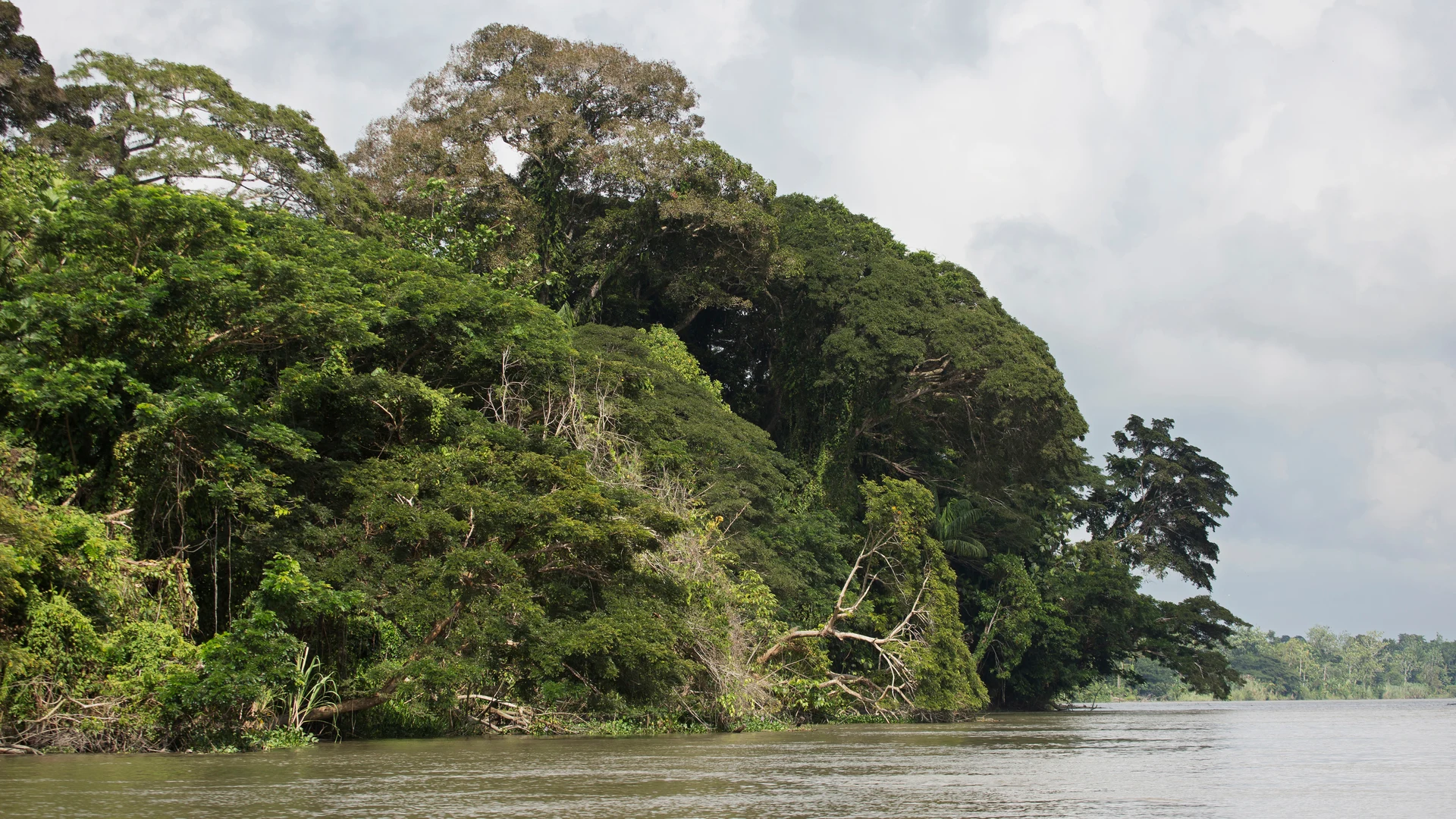 The Sepik River winding through jungle, PNG