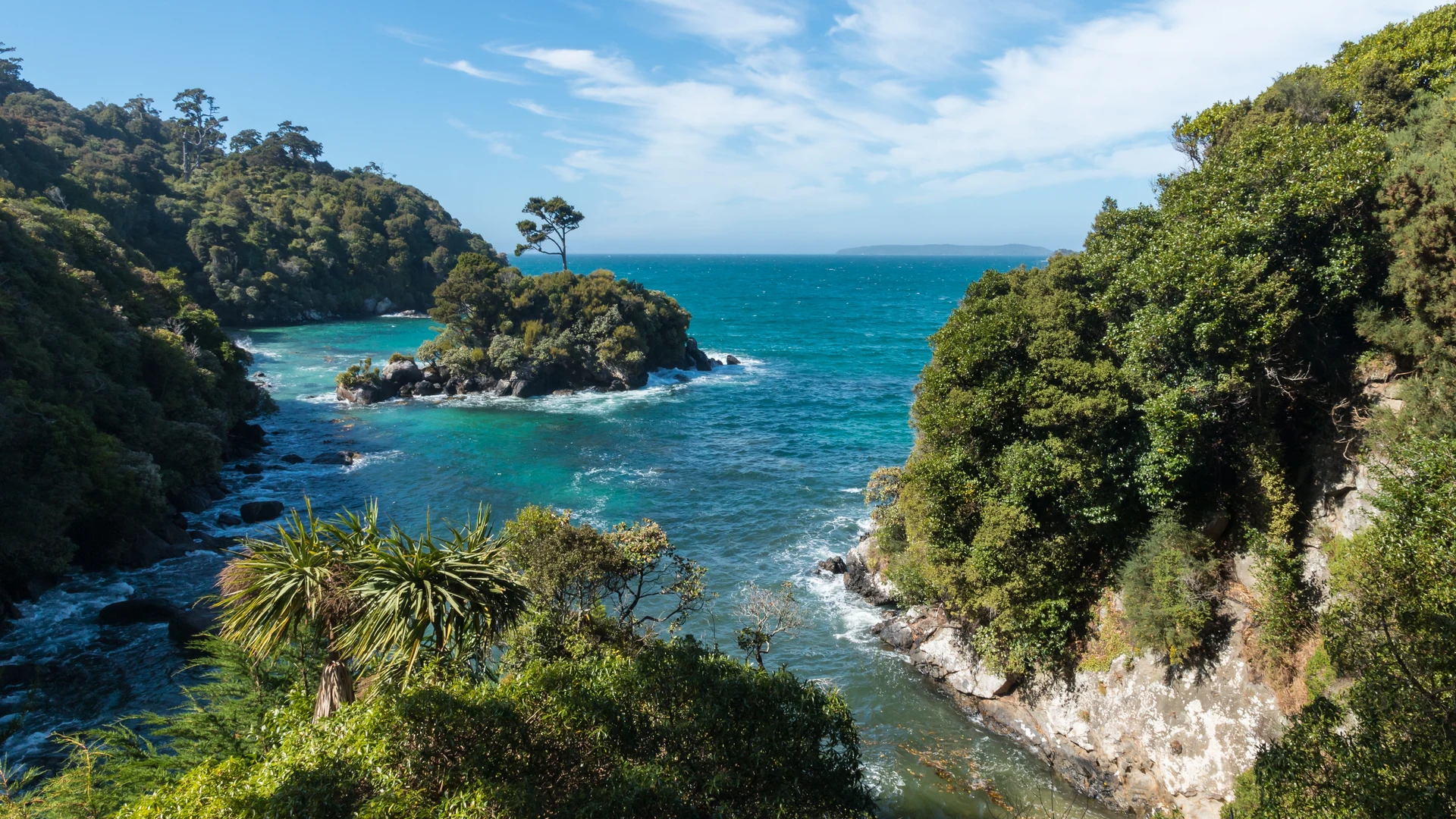 Rugged coastline of Stewart Island (Rakiura)