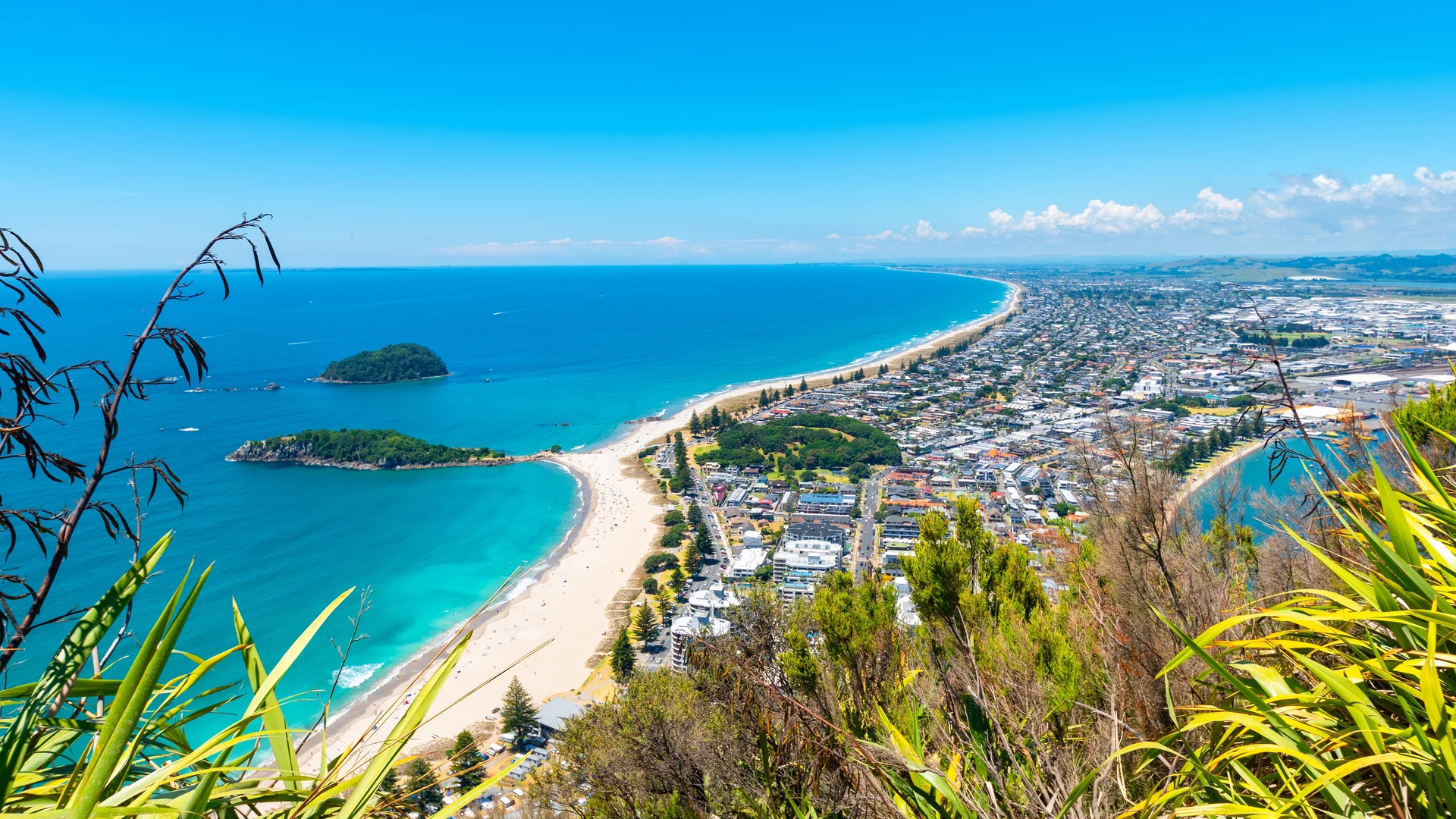 New Zealand in Depth