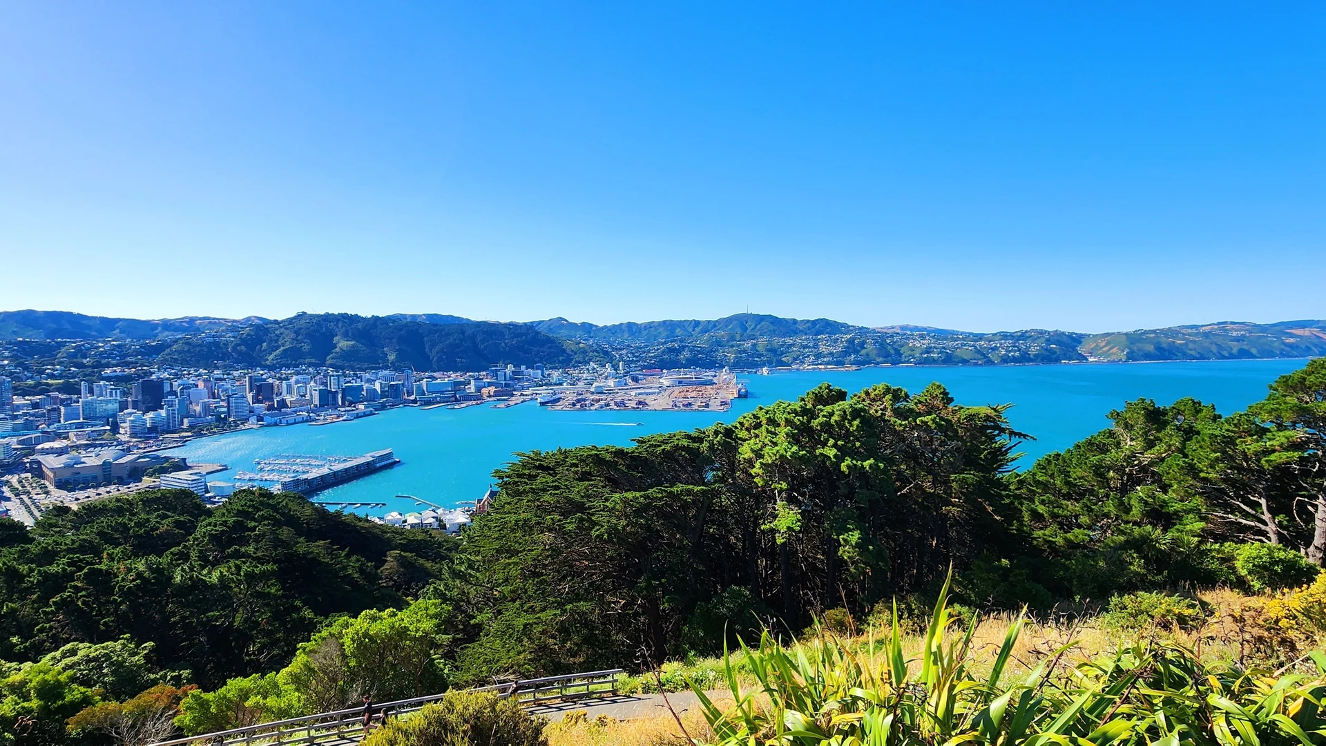 Wellington harbour and city from the hills